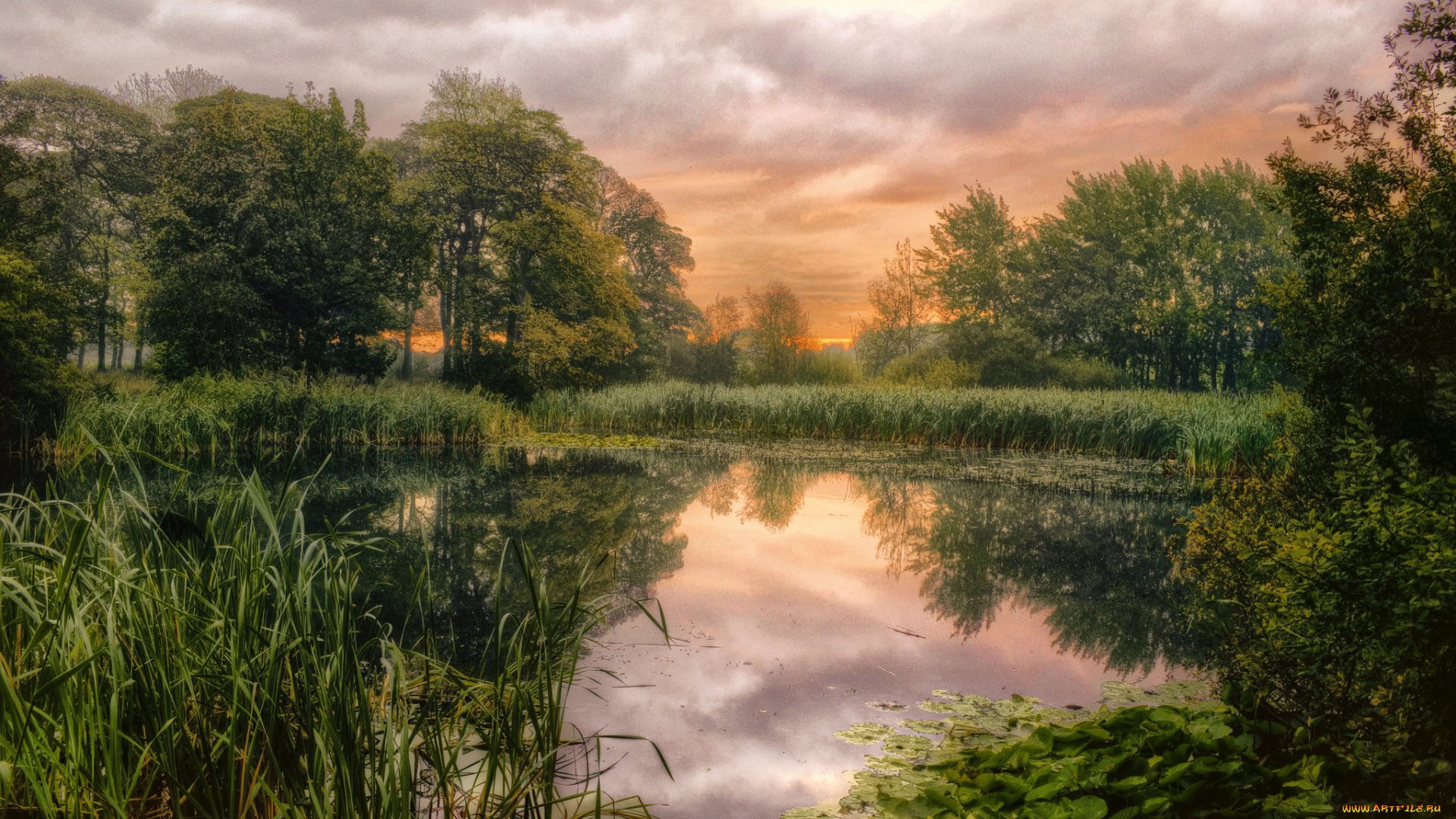 природа, реки, озера, лес, озеро, трава, облака