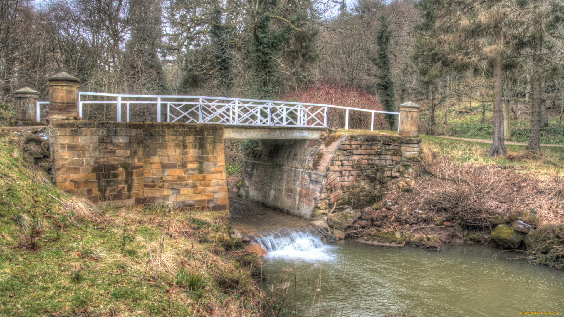 природа, реки, озера, лес, река, мост