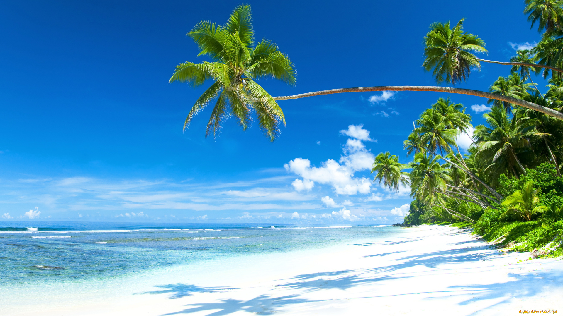 природа, тропики, солнце, море, берег, остров, океан, пляж, песок