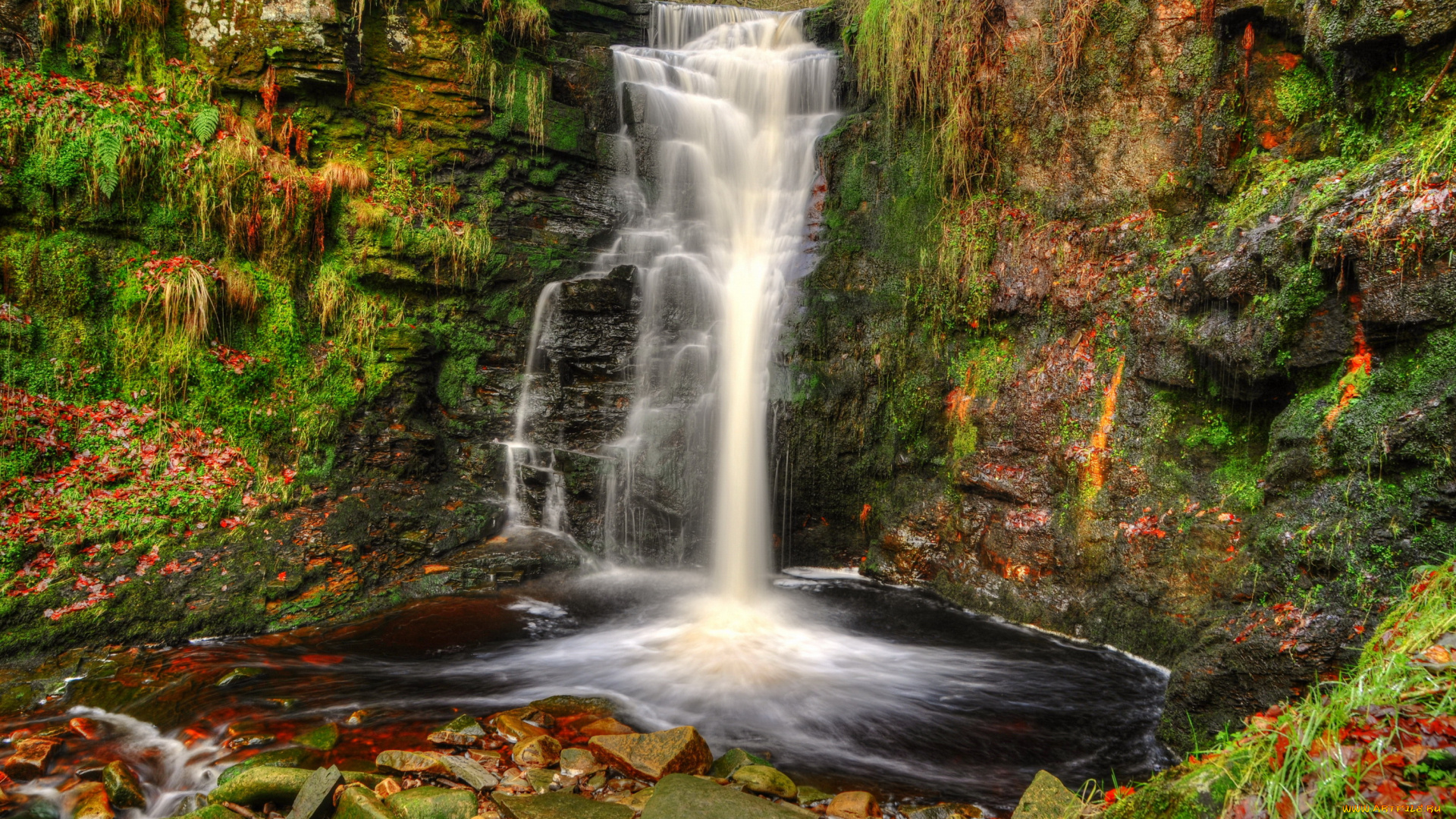 природа, водопады, англия, водопад, лес, река