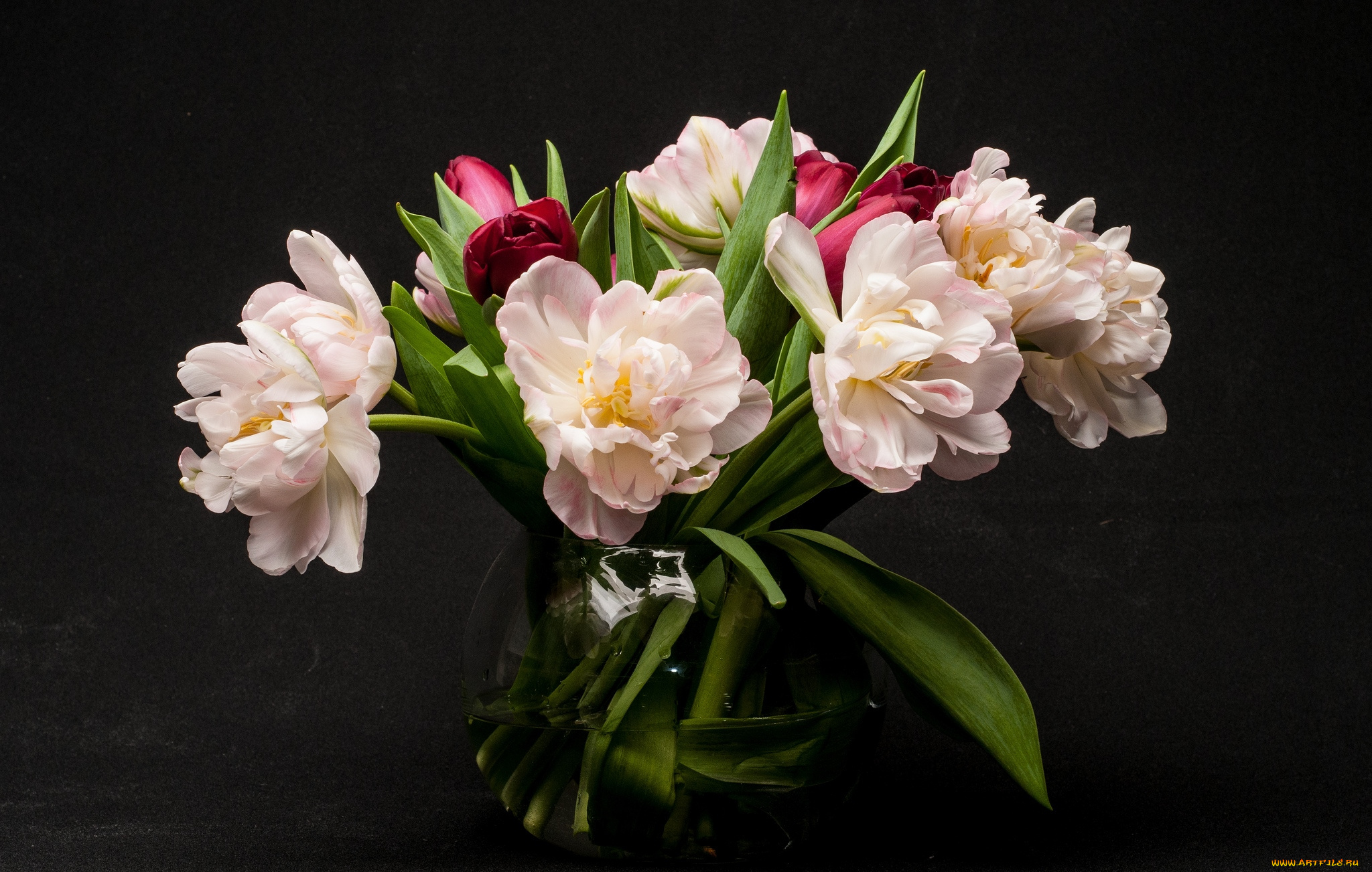 цветы, тюльпаны, букет