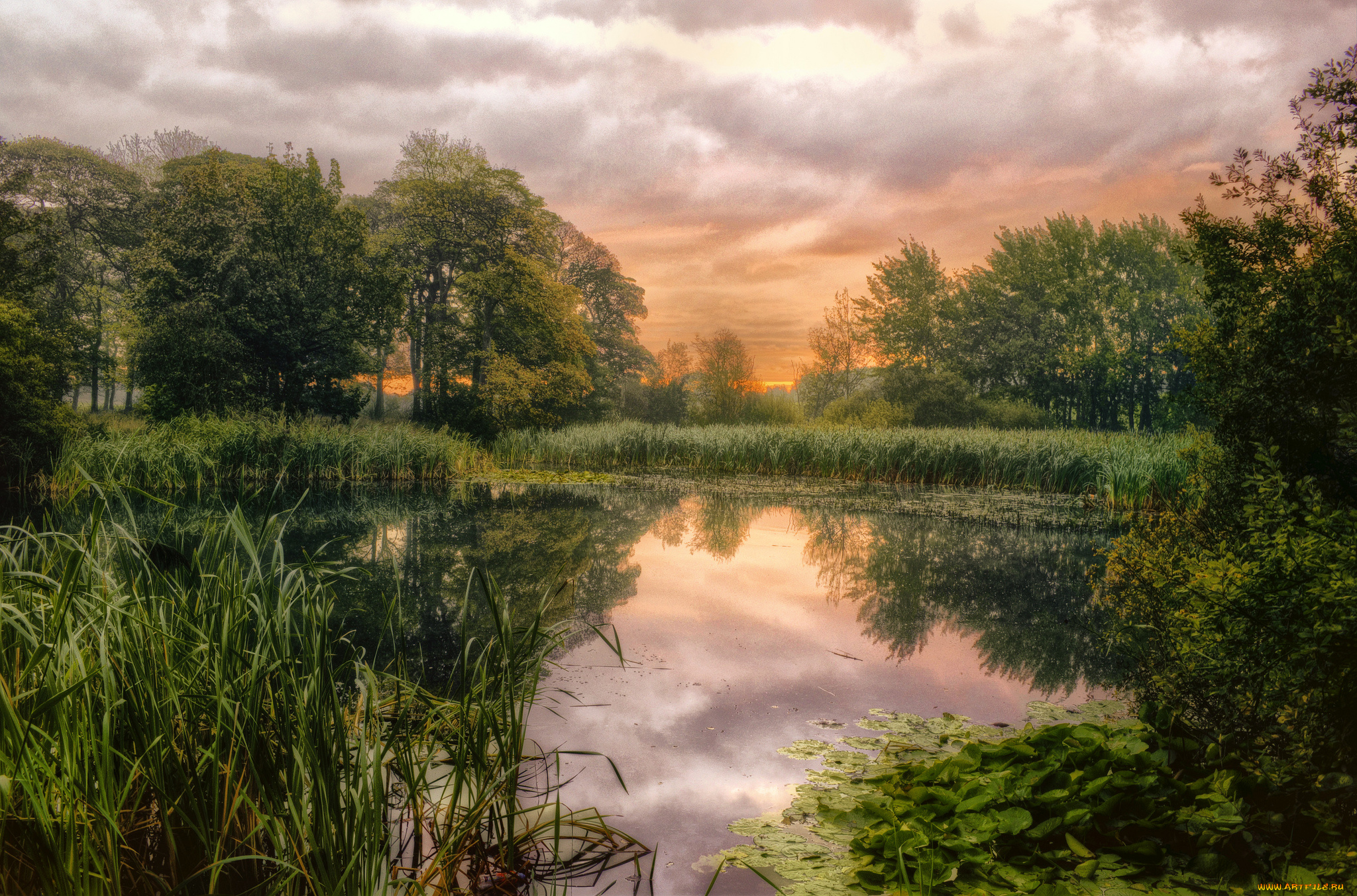 природа, реки, озера, лес, озеро, трава, облака