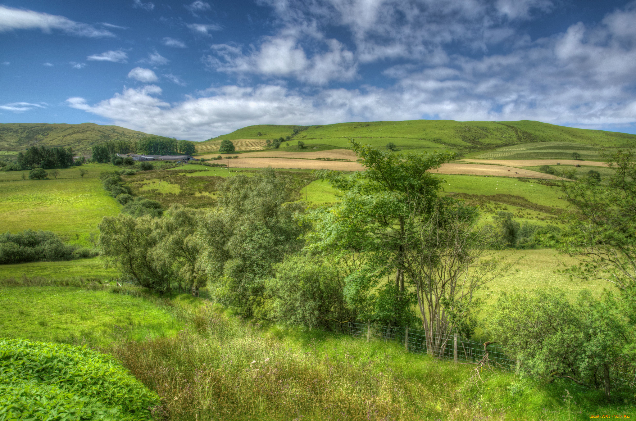 природа, пейзажи, равнина, холмы, луга