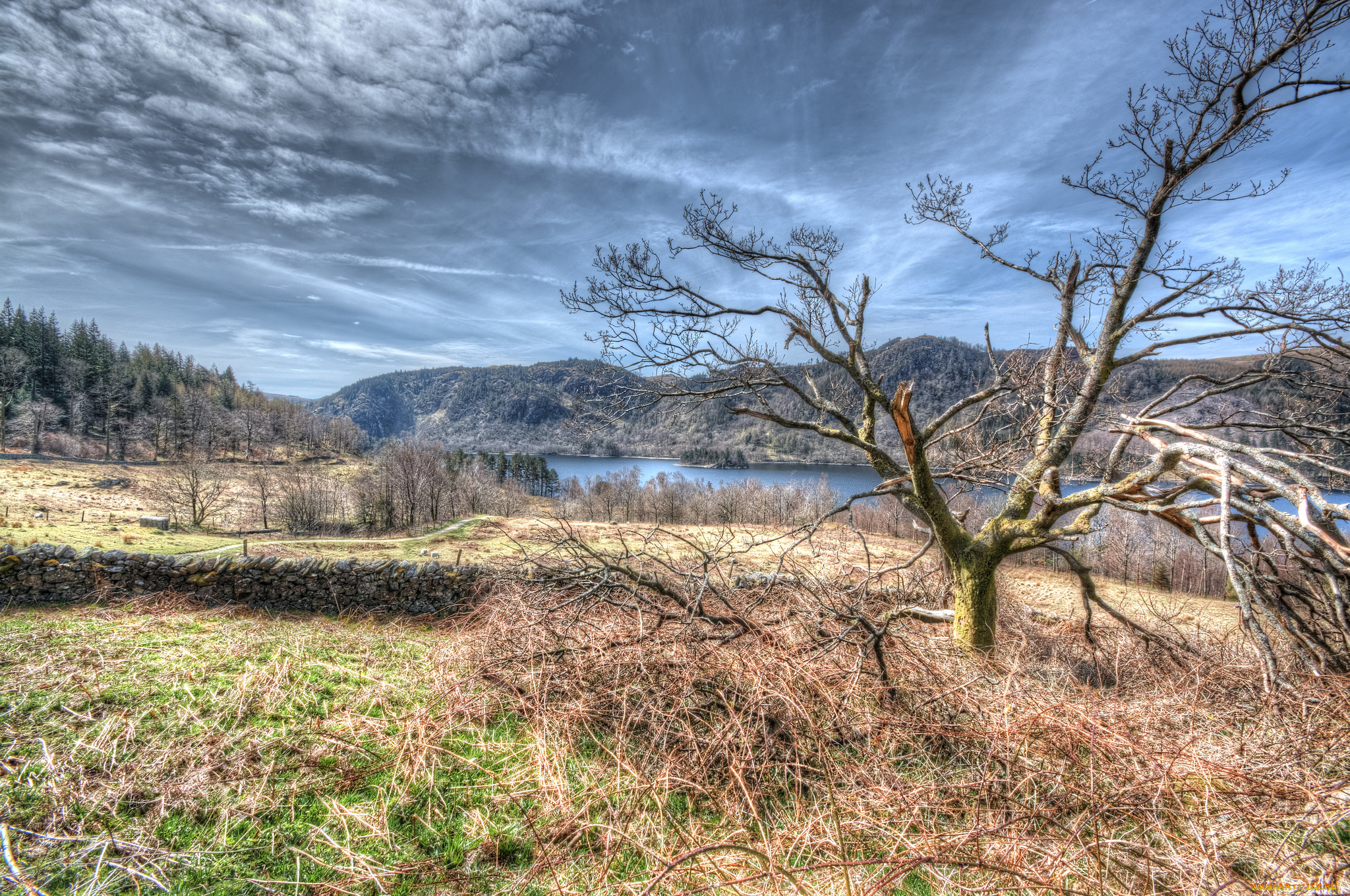 природа, пейзажи, тучи, дерево, трава, поле, лес, горы