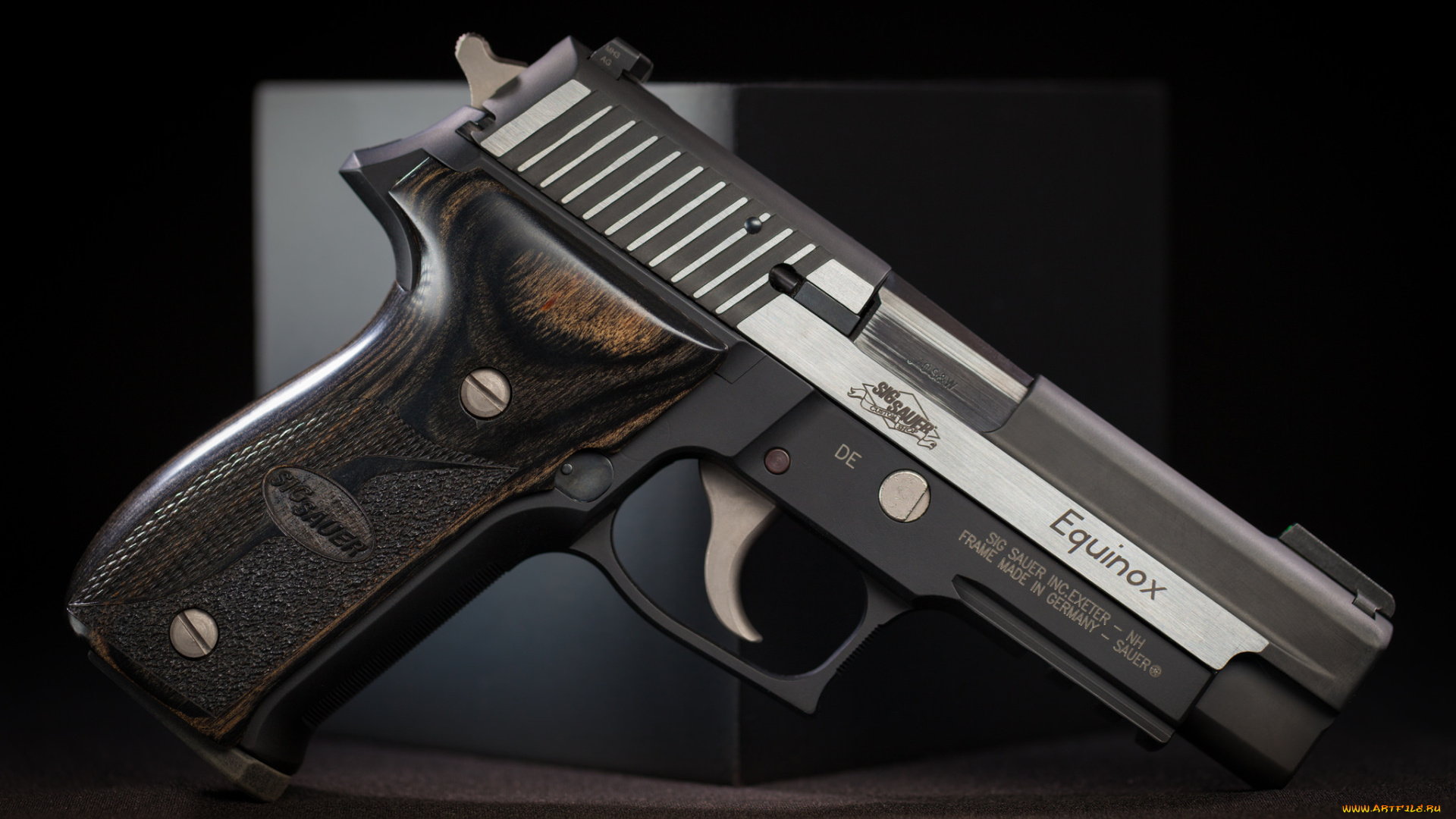 оружие, пистолеты, пистолет, equinox, sig-sauer