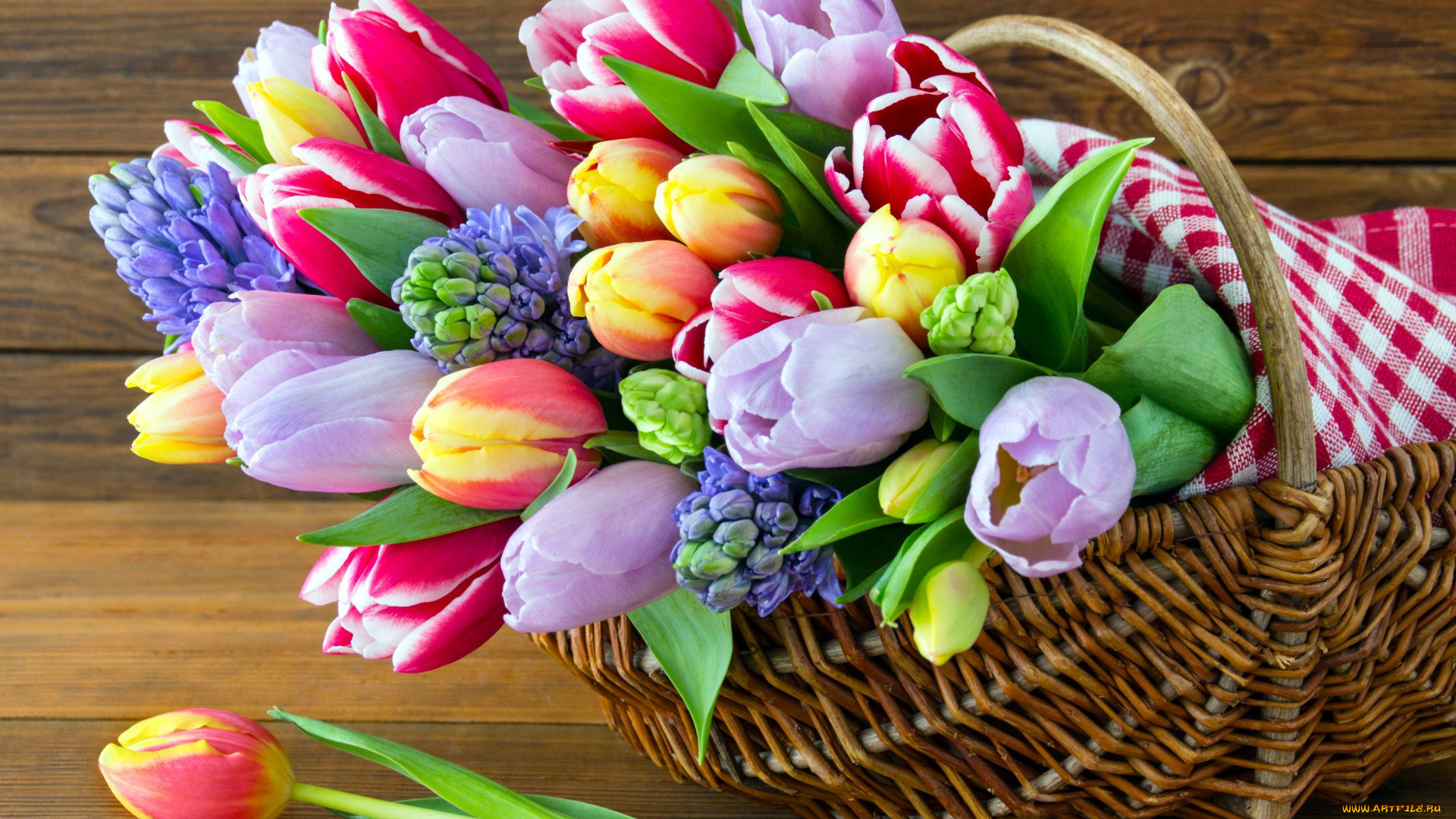 цветы, букеты, , композиции, тюльпаны, гиацинты