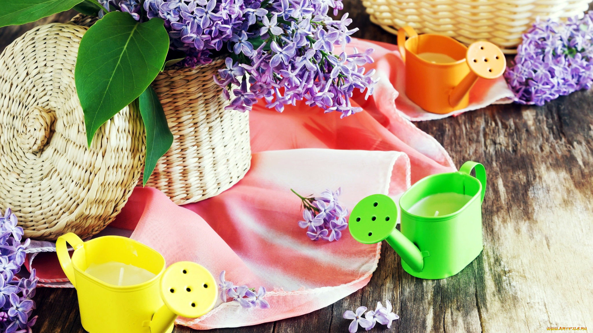цветы, сирень, лейки, корзинка