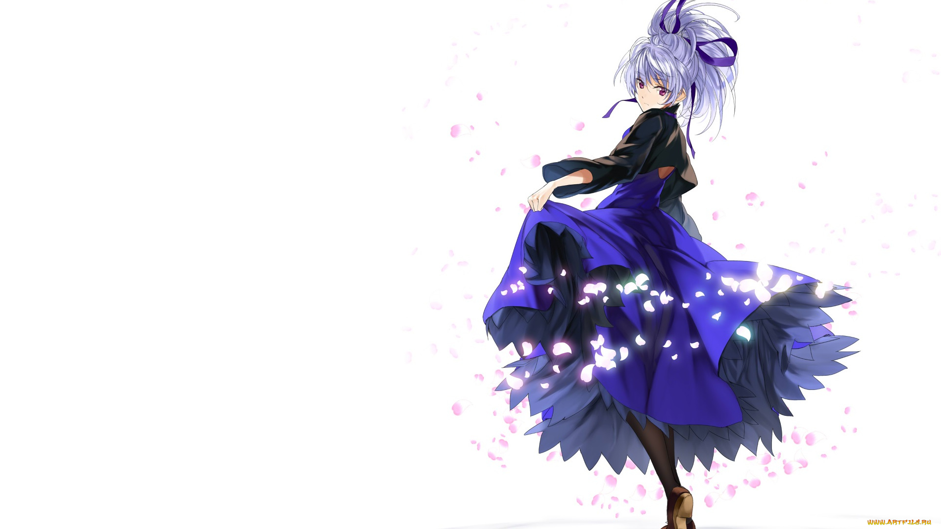 аниме, darker, than, black, инь