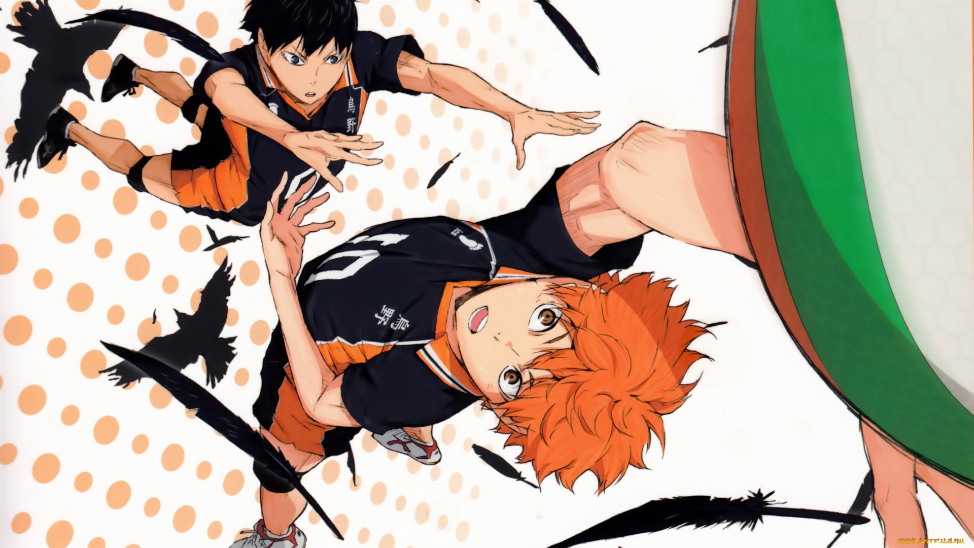 аниме, haikyuu, art, парни, рыжий, спортивная, форма, подача, мяч, tobio, kageyama, вороны, перья, shouyou, hinata, haruichi, furudate