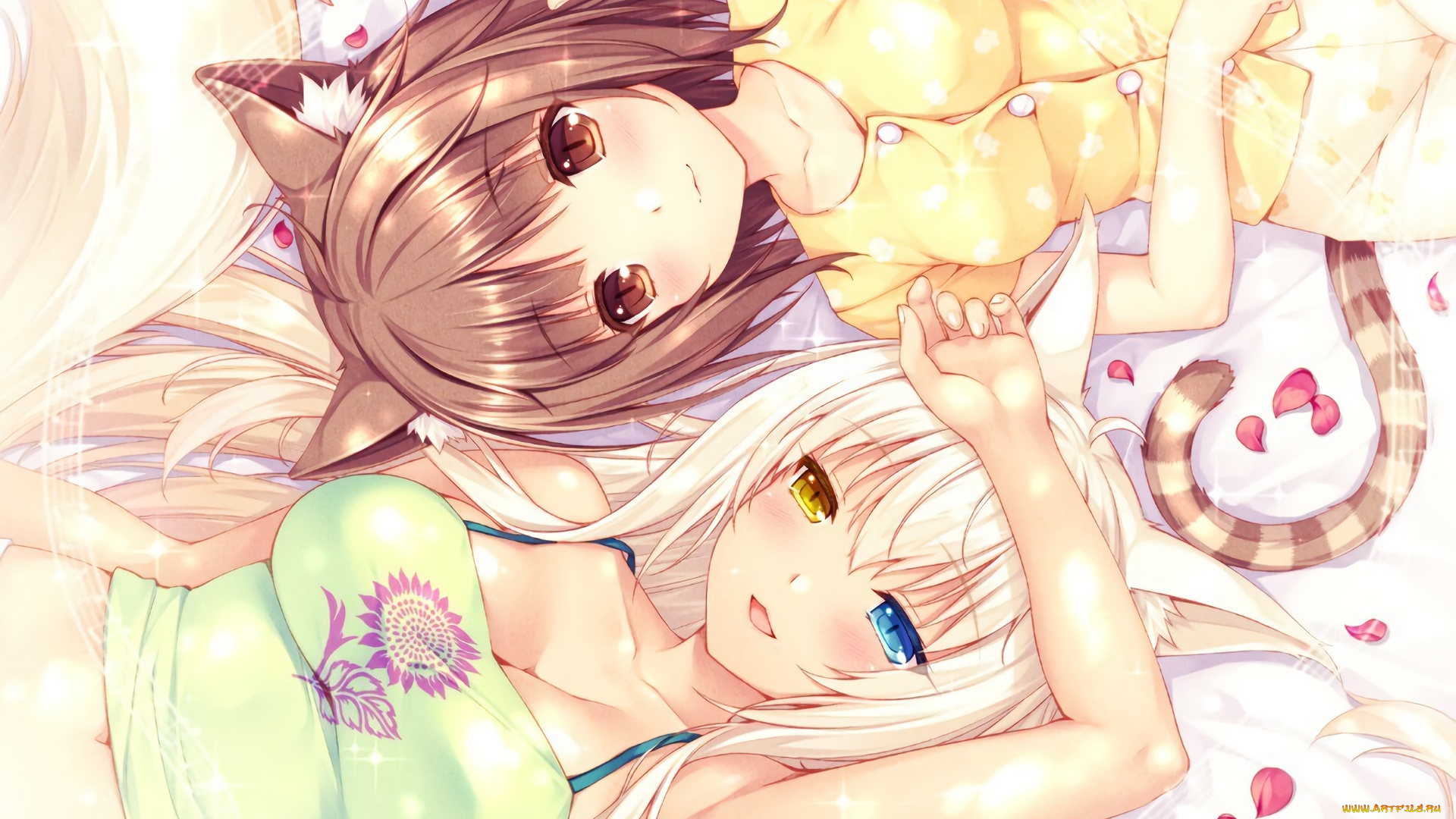 аниме, nekopara, фон, взгляд, девушки