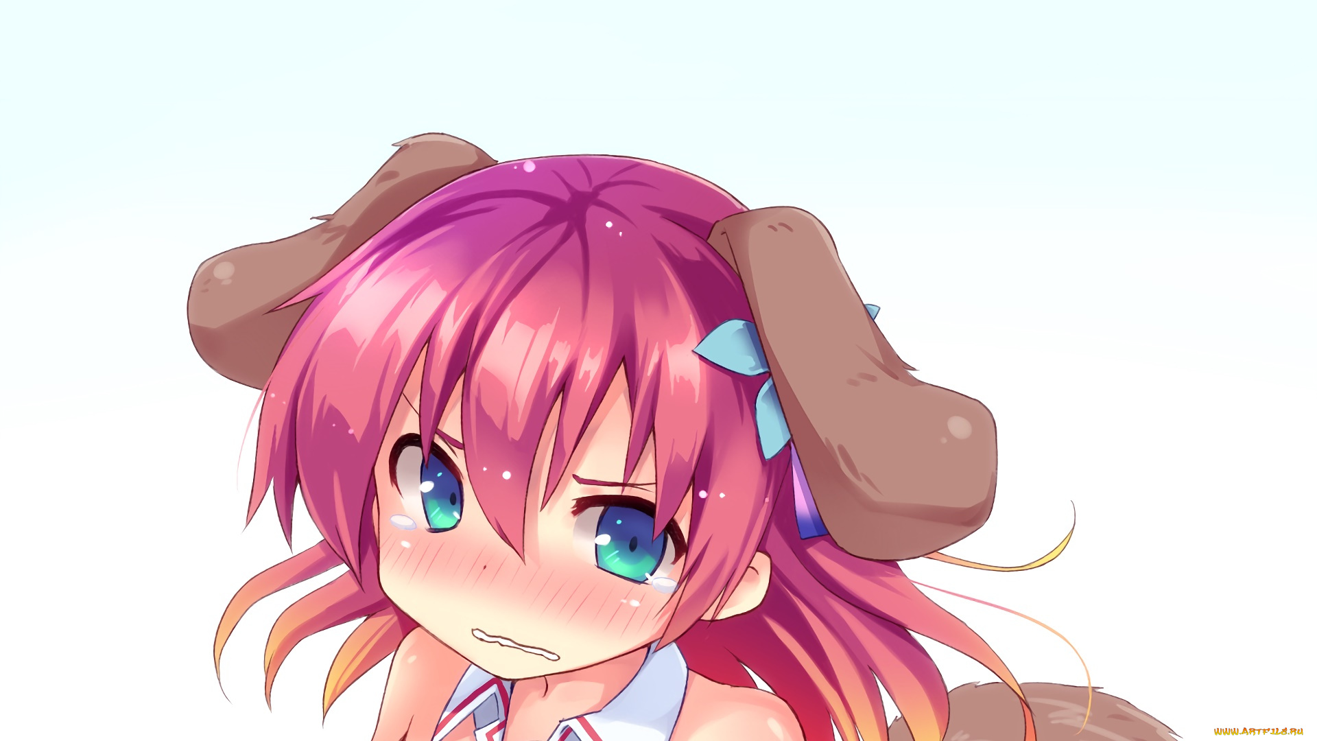 аниме, no, game, no, life, фон, взгляд, девушка