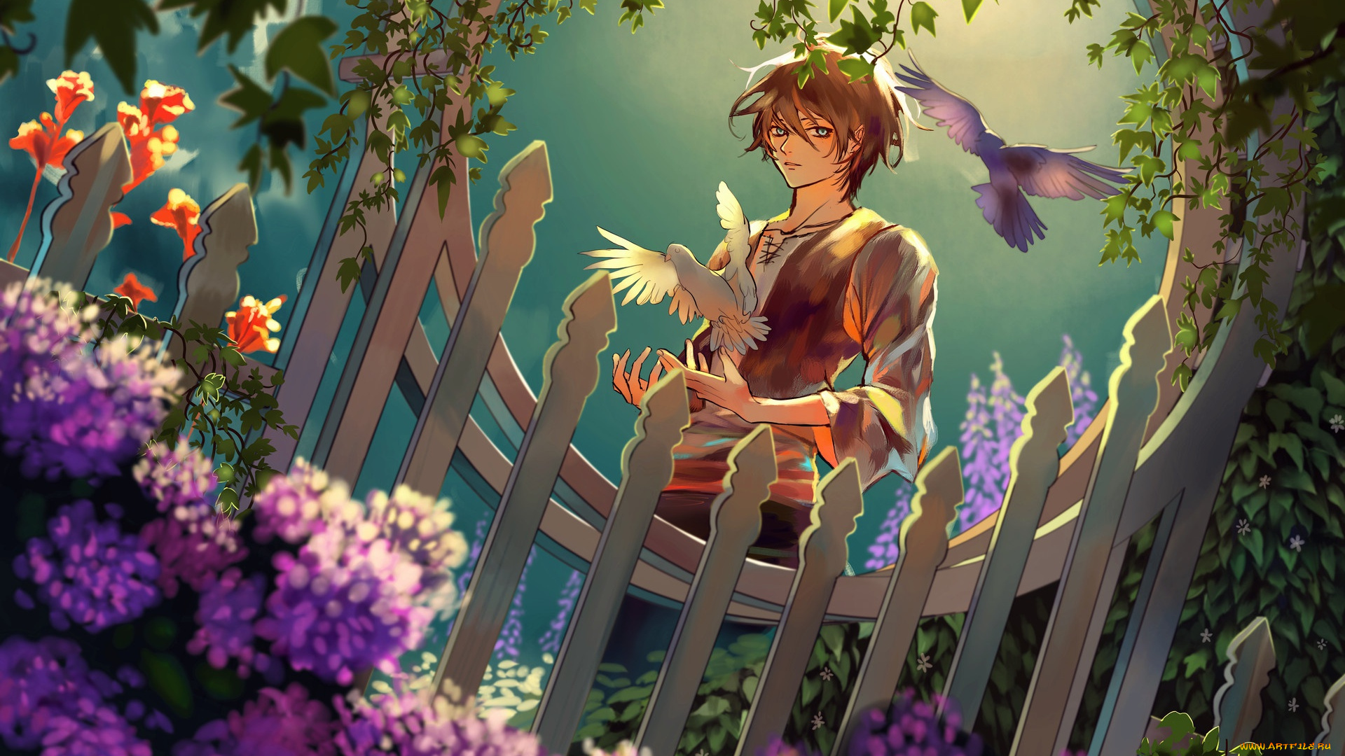 аниме, животные, , существа, голуби, сад, aliya, chen, плющ, art, alisa, miller, забор, гортензия, калитка, парень