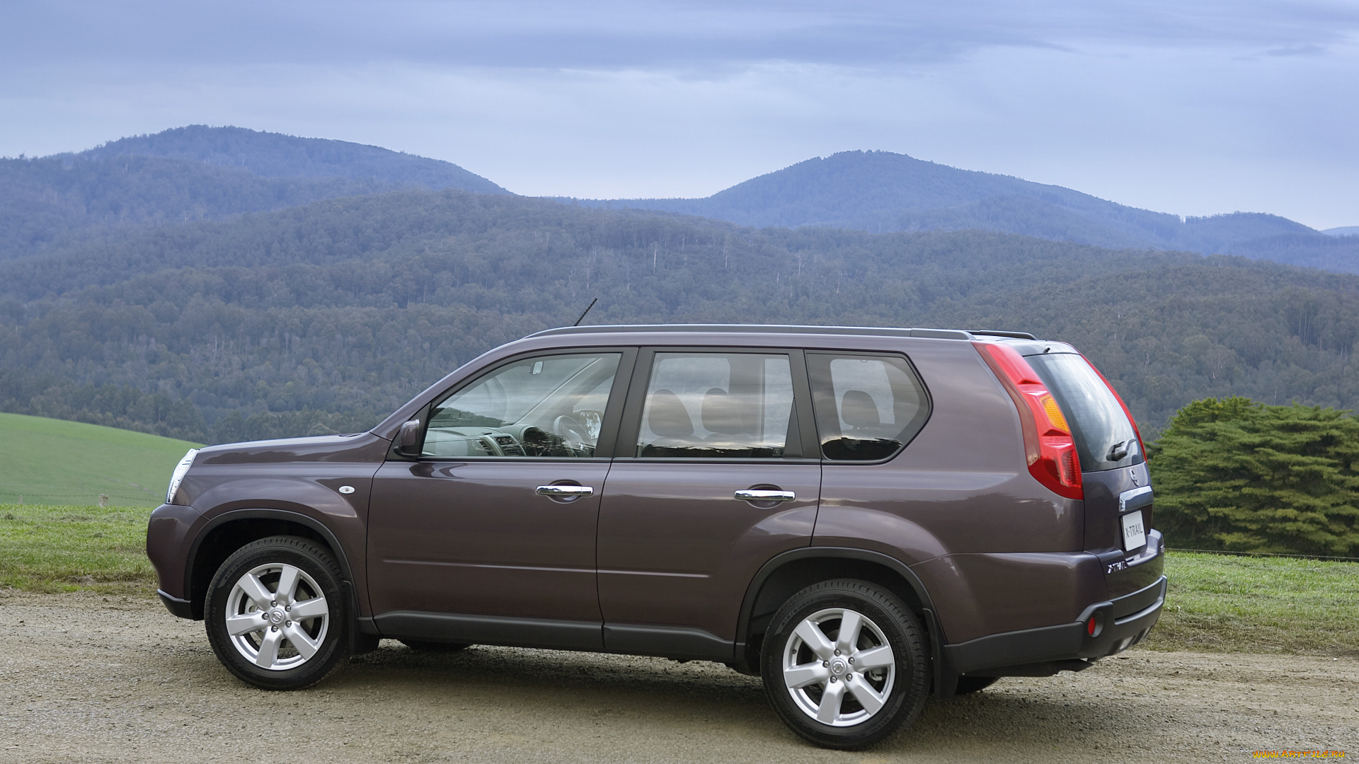 автомобили, nissan, datsun