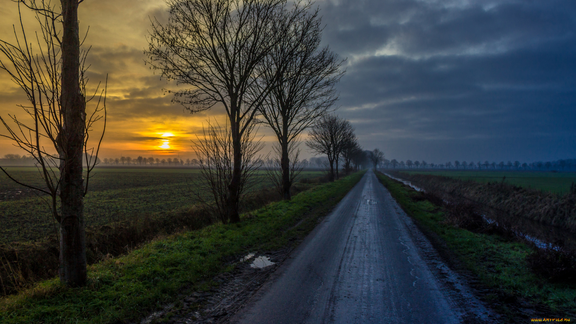 природа, дороги, тракт