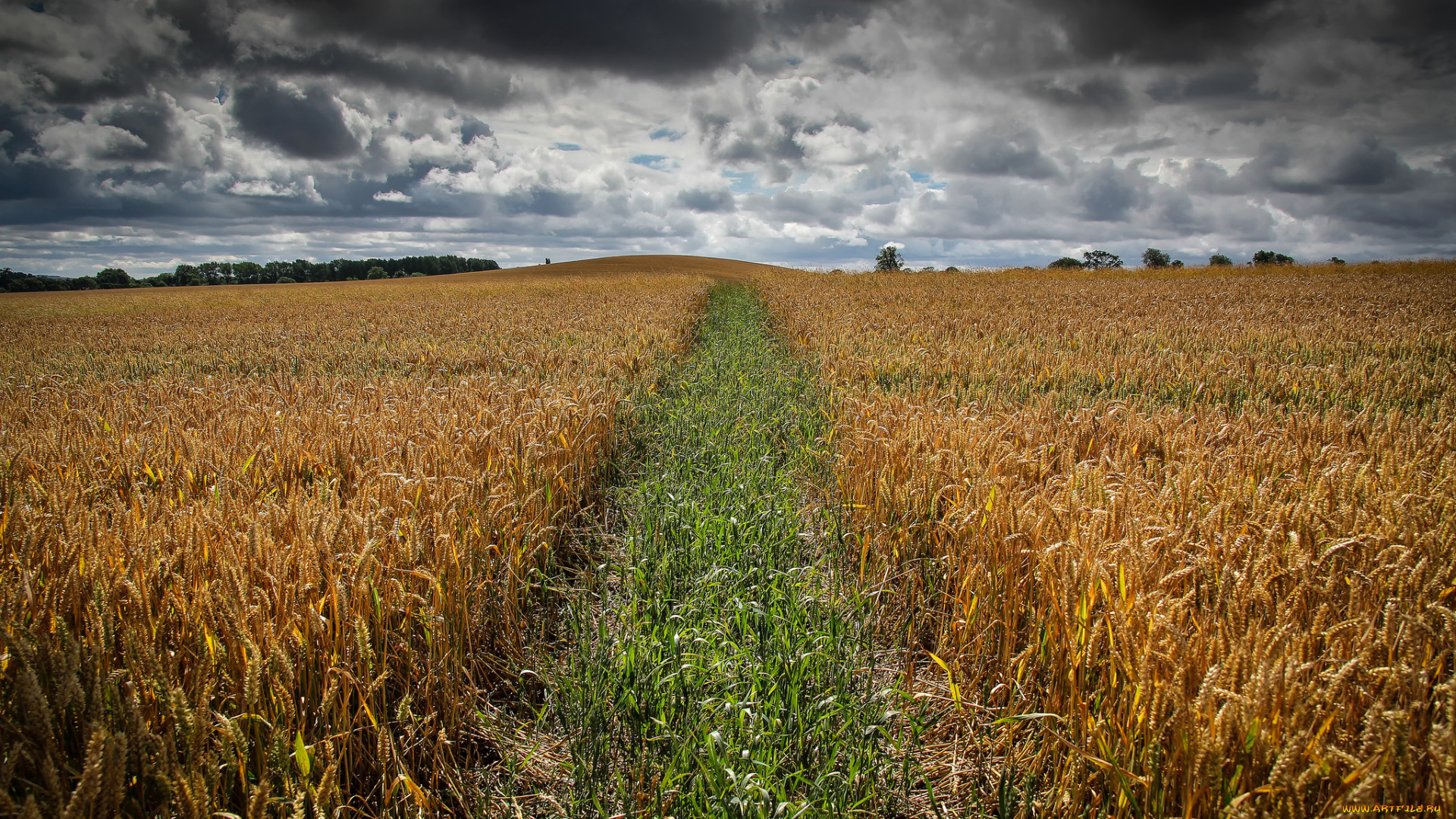 природа, дороги, тракт