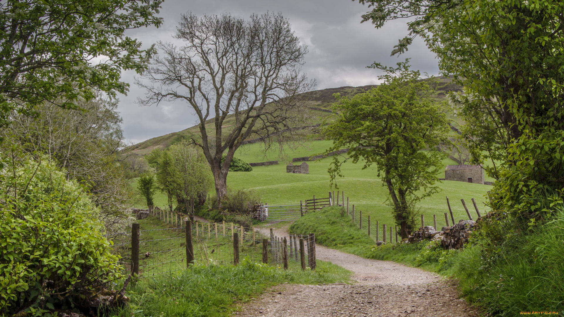 природа, дороги, тракт