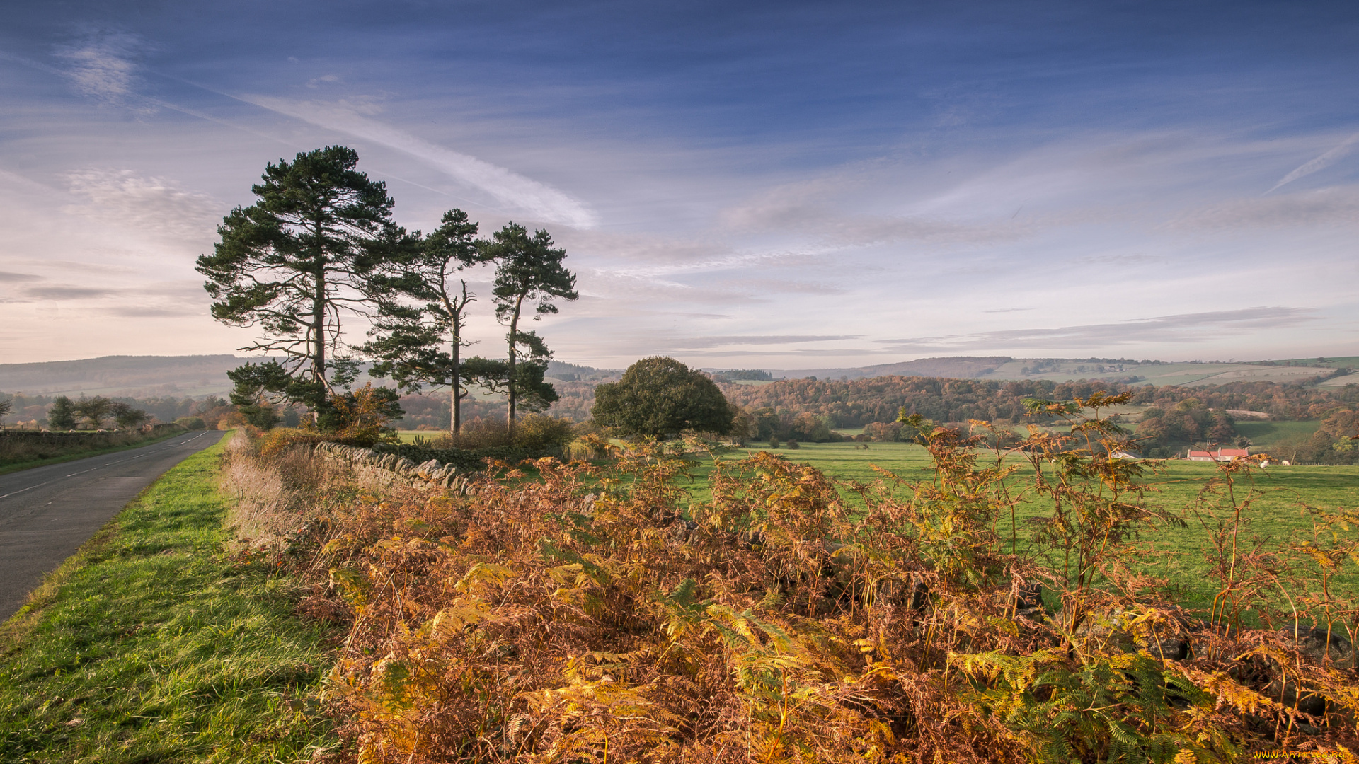природа, дороги, тракт