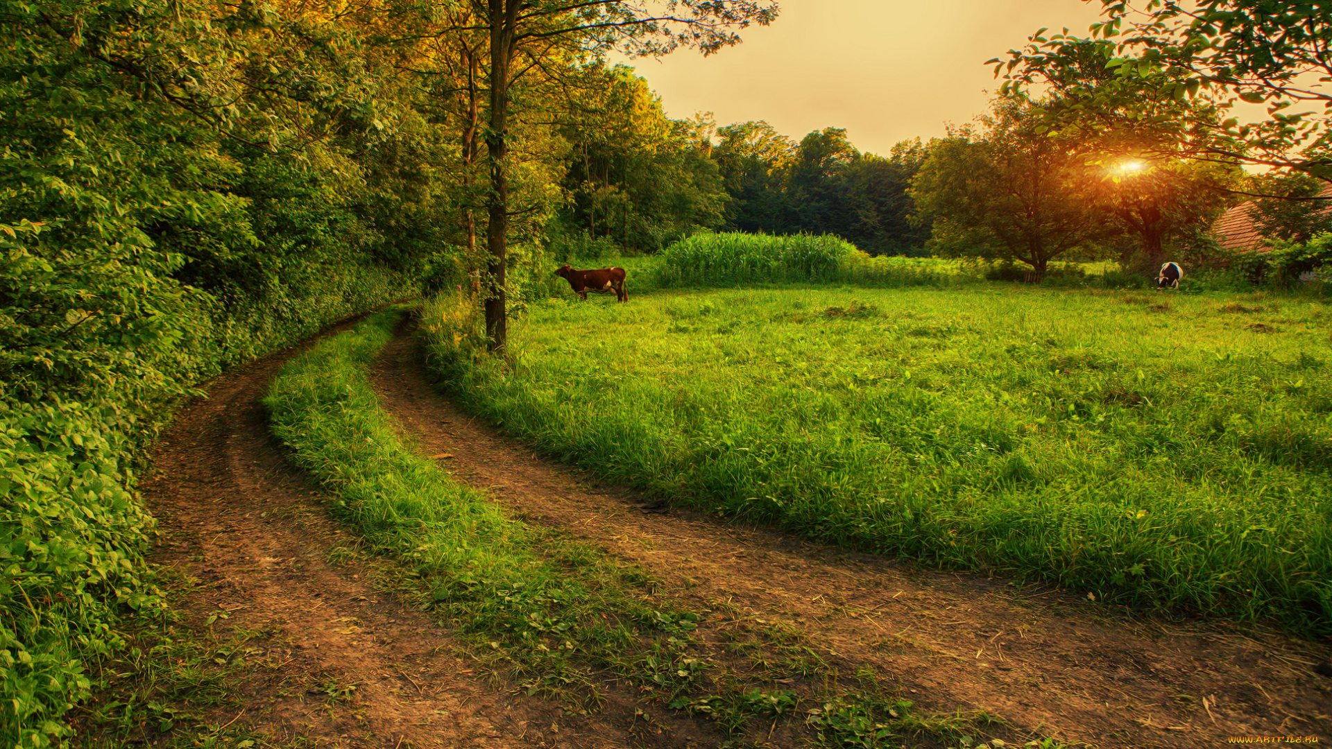 природа, дороги, тракт