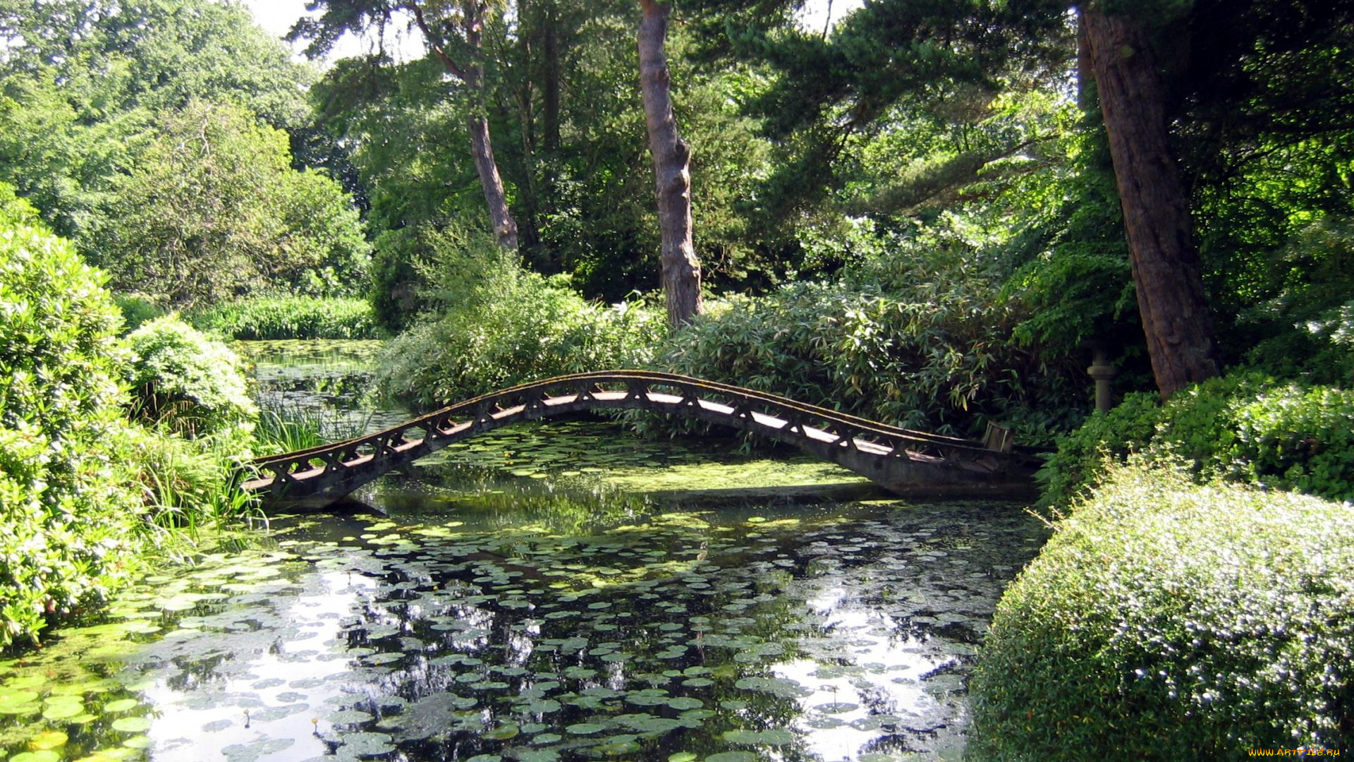 природа, парк, мостик, водоем