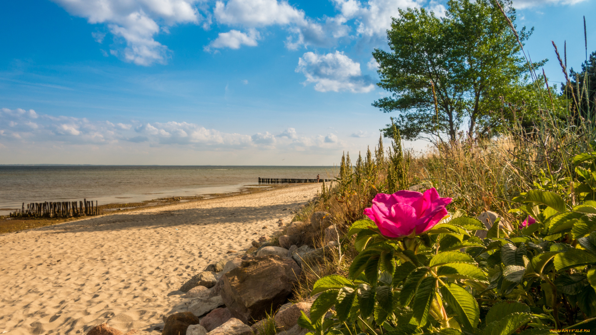 природа, побережье, берег, море