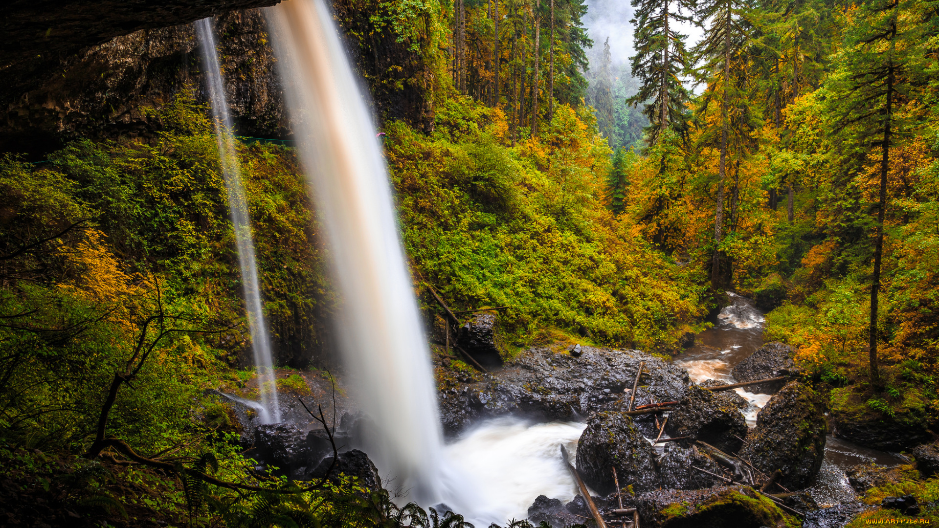 природа, водопады, лес, водопад, река