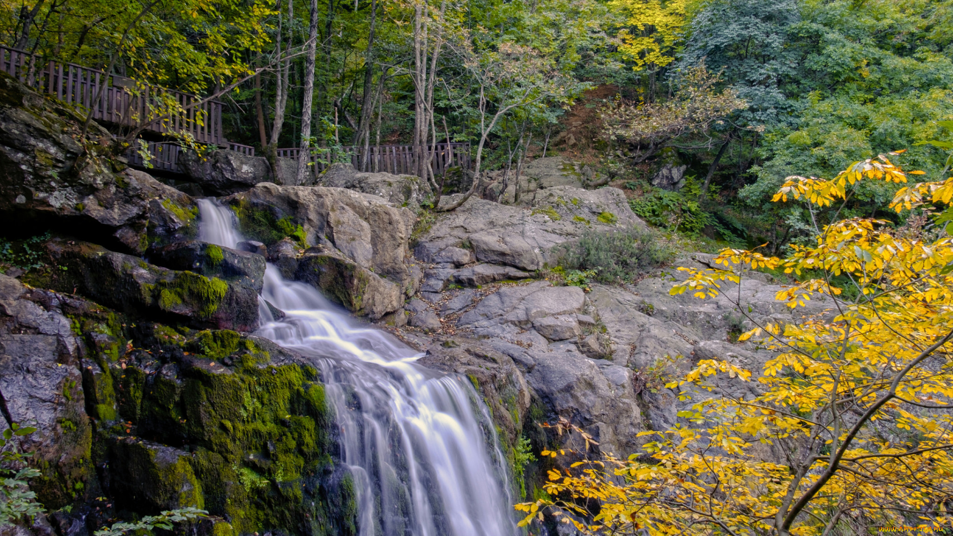 природа, водопады, река, водопад, лес