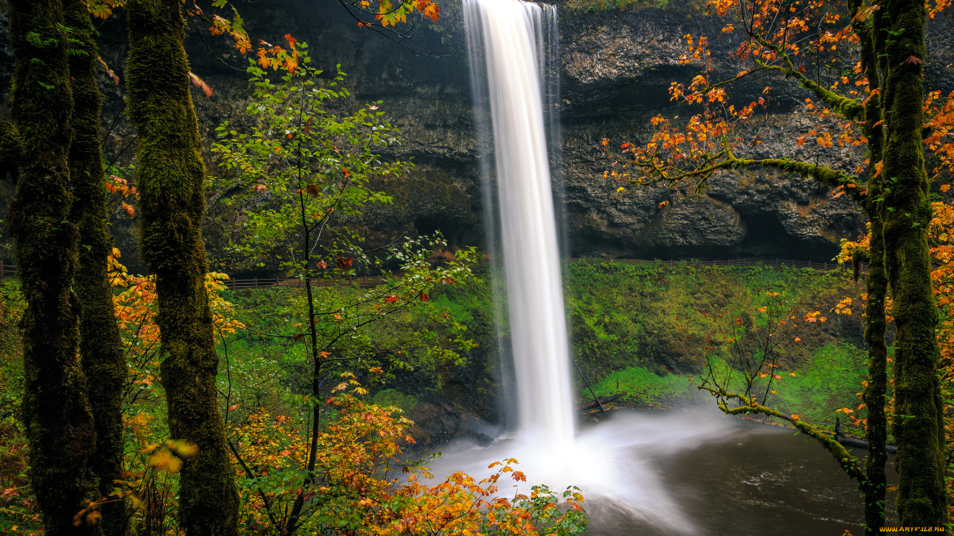 природа, водопады, водопад, река, лес