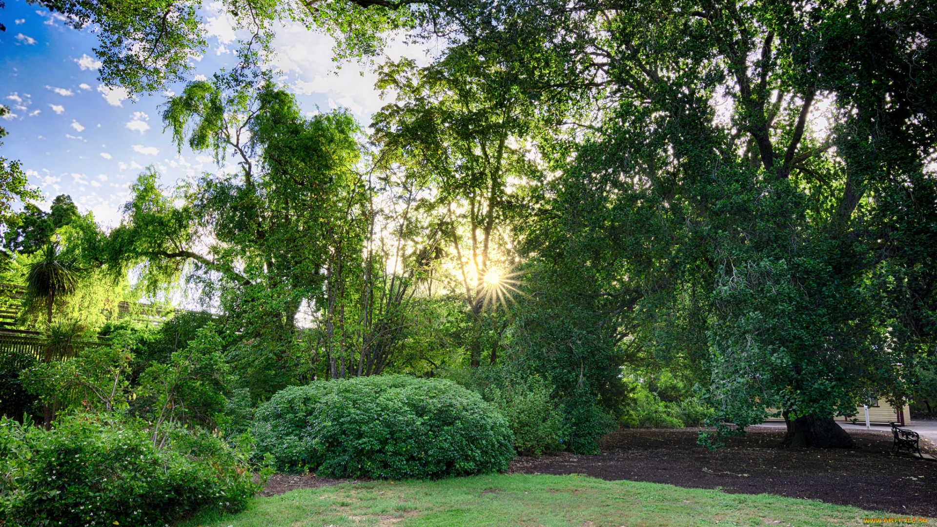 природа, восходы, закаты, рассвет