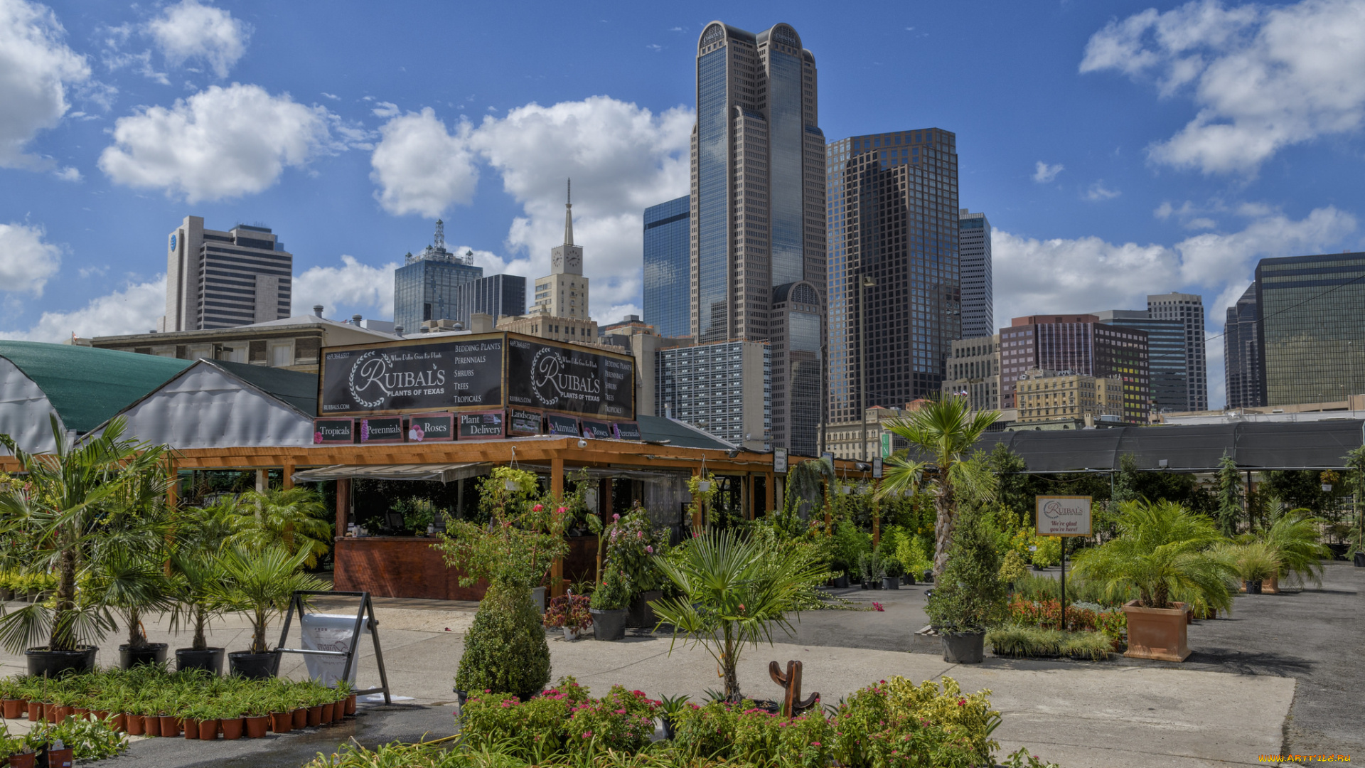 ruibal`s, plants, of, texas, города, -, панорамы, небоскребы
