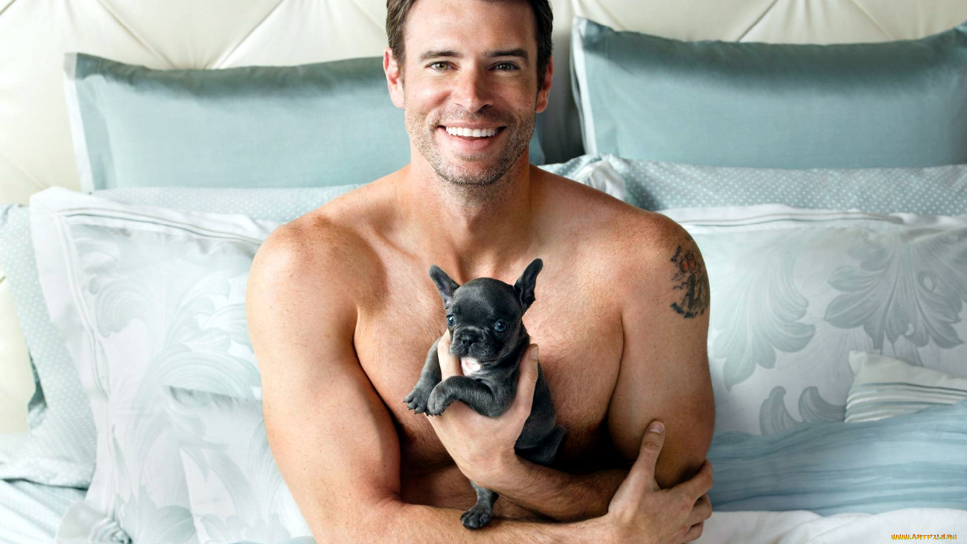 scott, foley, мужчины, scott, foley