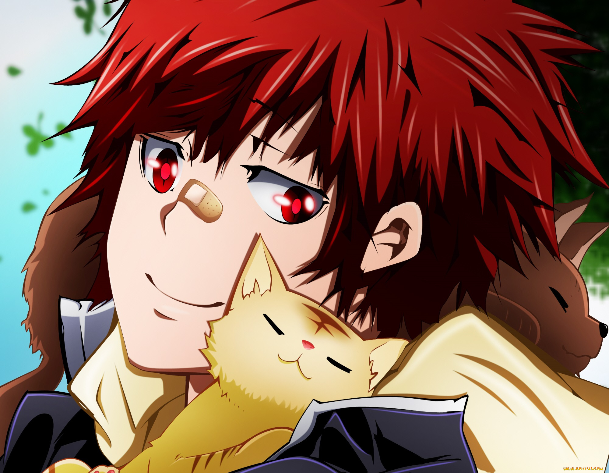 аниме, katekyo, hitman, reborn, enma, kozato