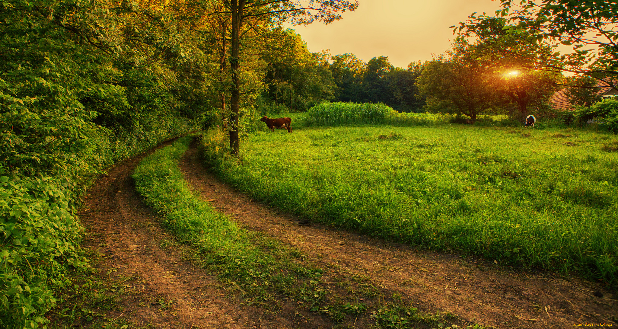 природа, дороги, тракт