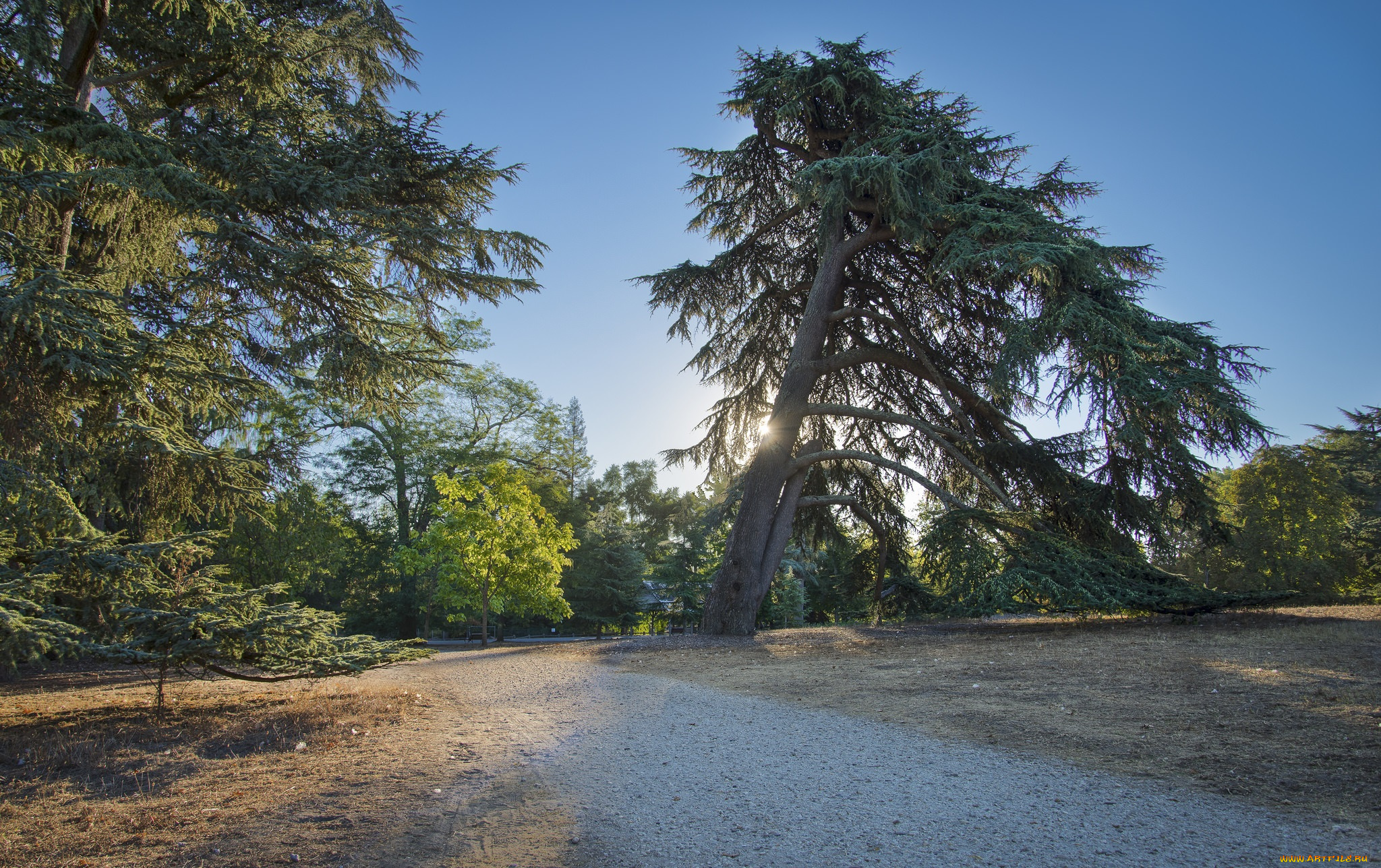 природа, дороги, тракт