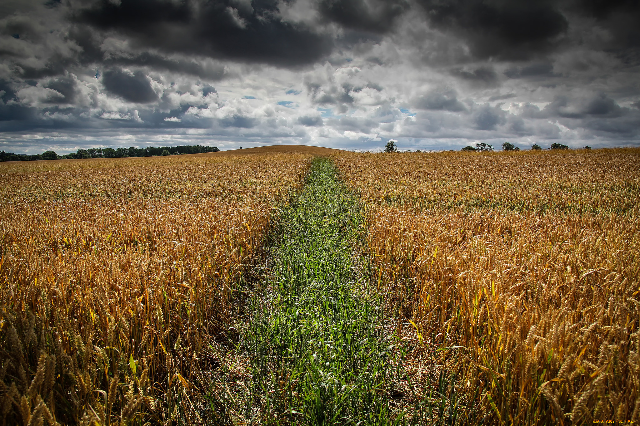 природа, дороги, тракт