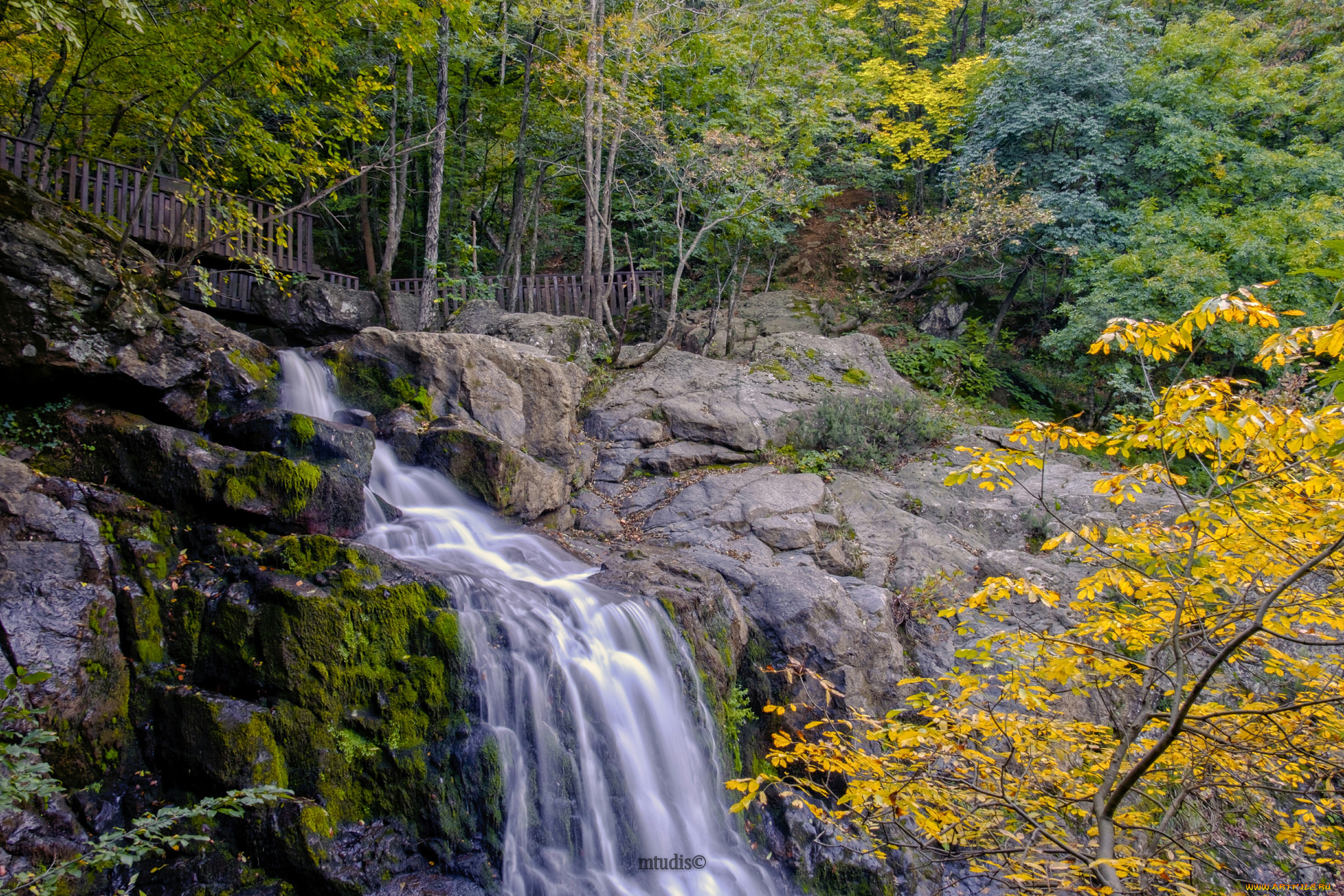 природа, водопады, река, водопад, лес