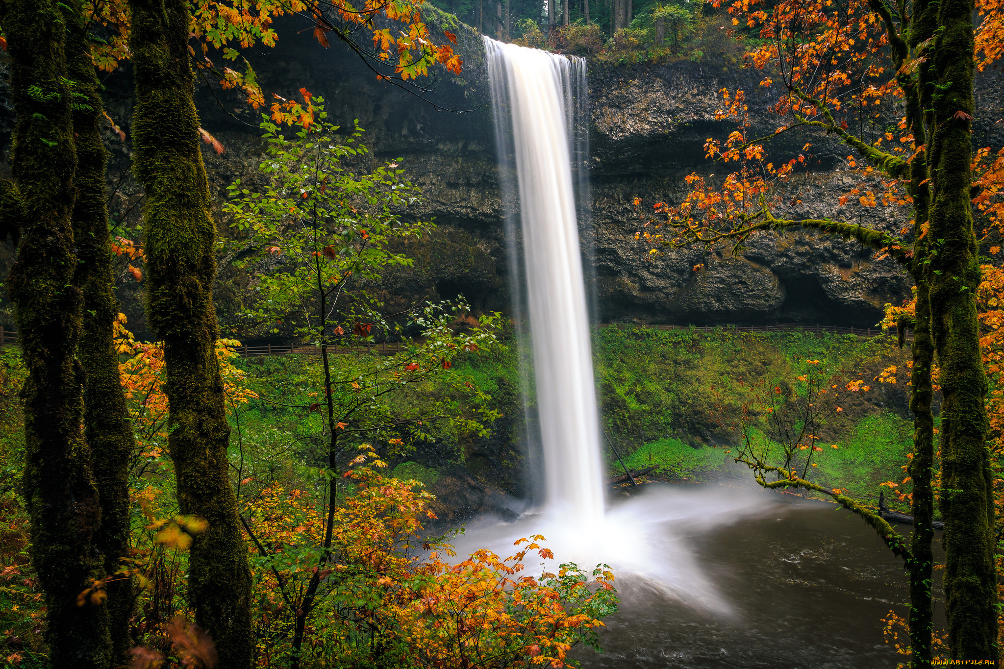 природа, водопады, водопад, река, лес