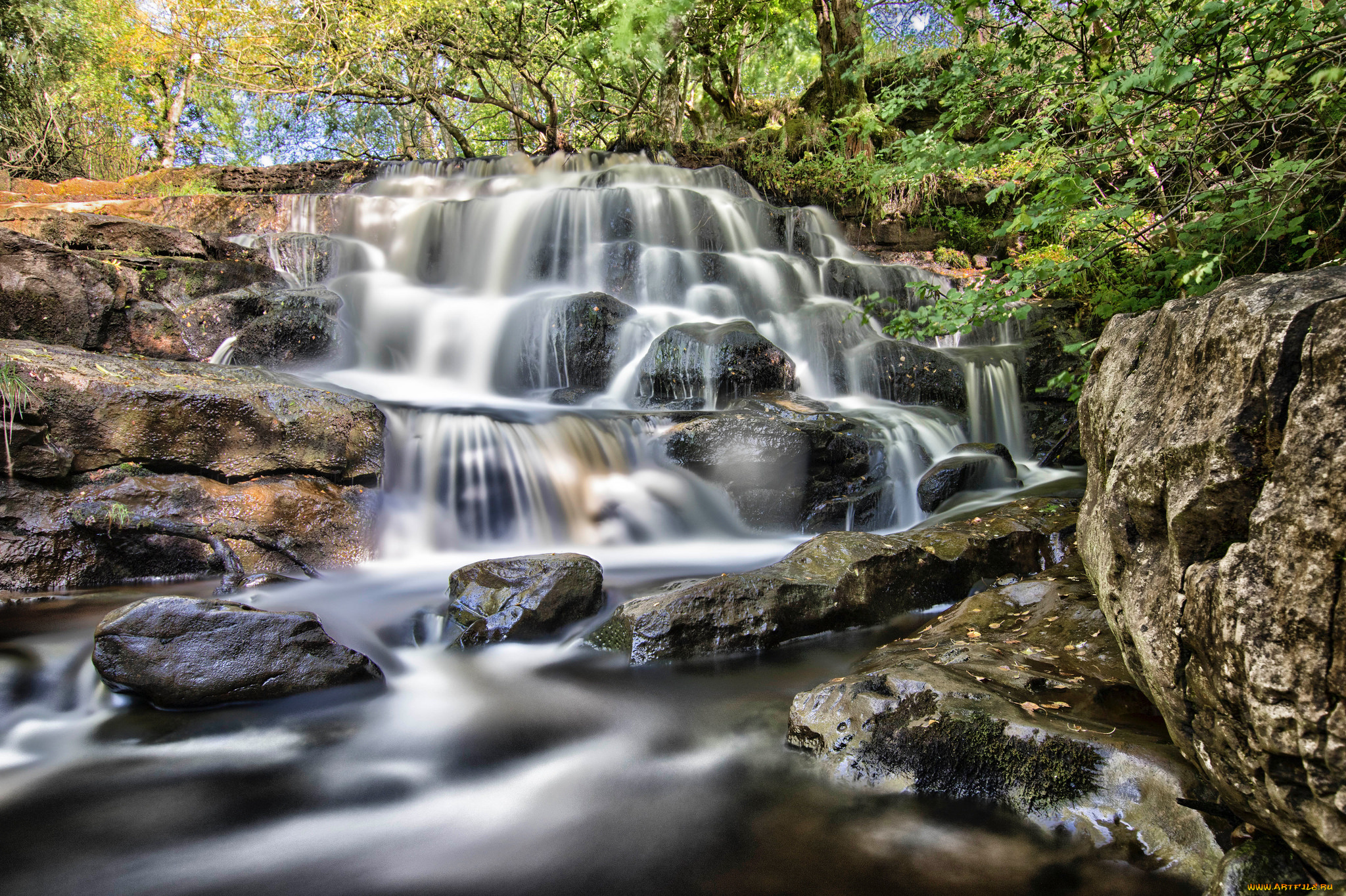 природа, водопады, водопад, река, лес