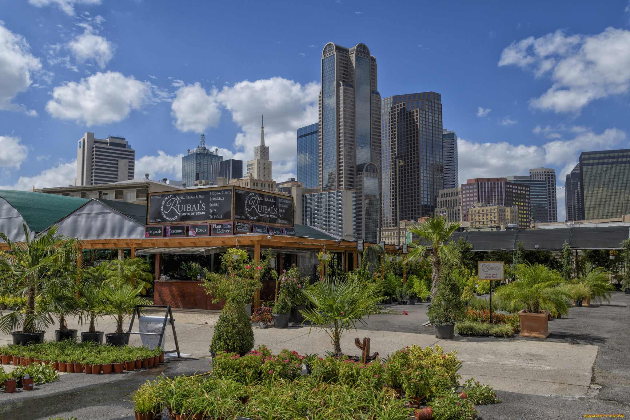ruibal`s, plants, of, texas, города, -, панорамы, небоскребы