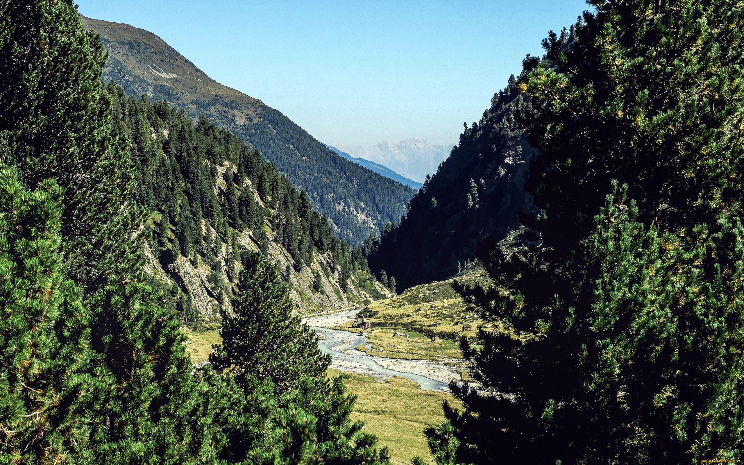 природа, горы, лес