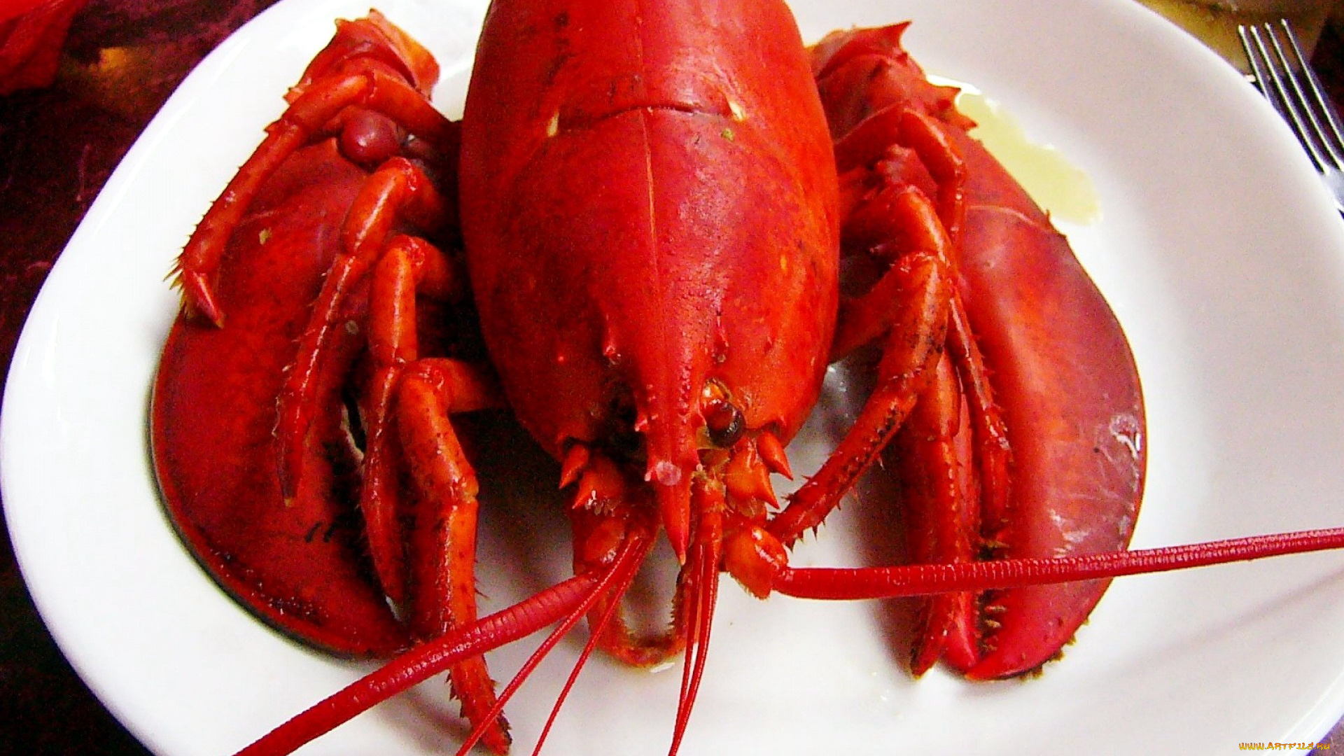 еда, рыба, , морепродукты, , суши, , роллы, лобстер