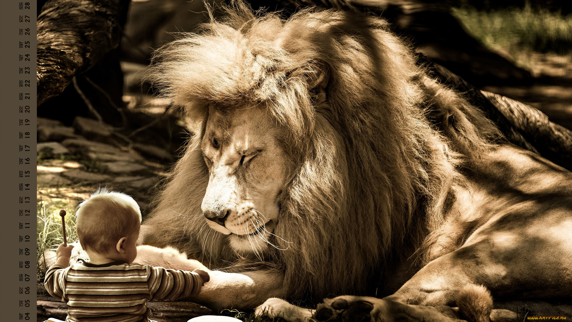 календари, компьютерный, дизайн, ребенок, лев