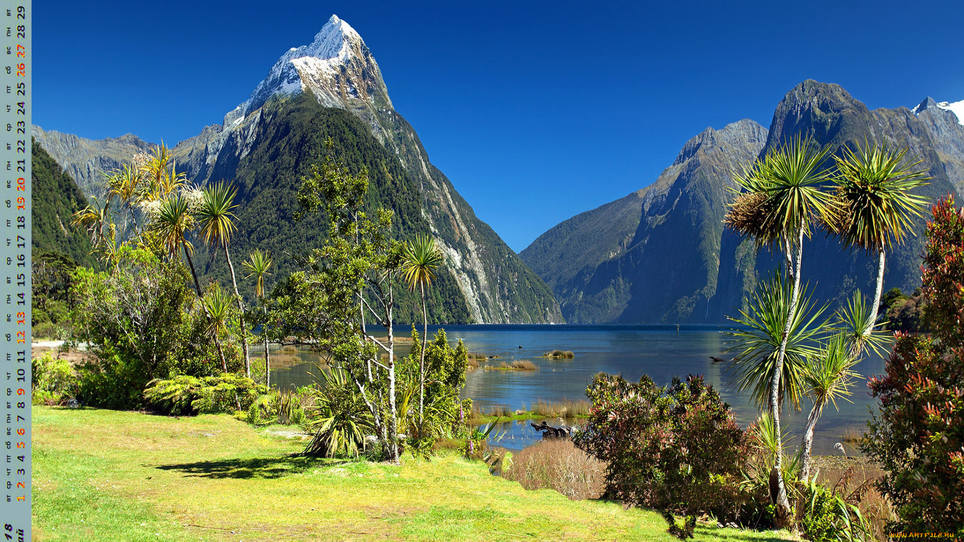 календари, природа, деревья, скала, пальма, водоем