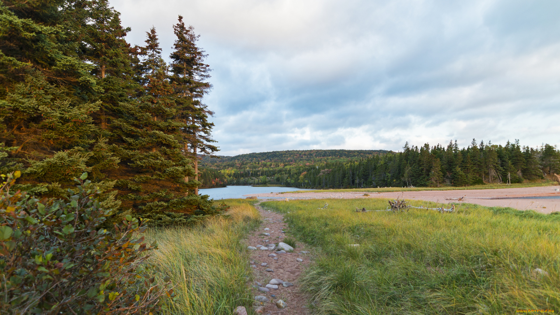 природа, пейзажи, простор