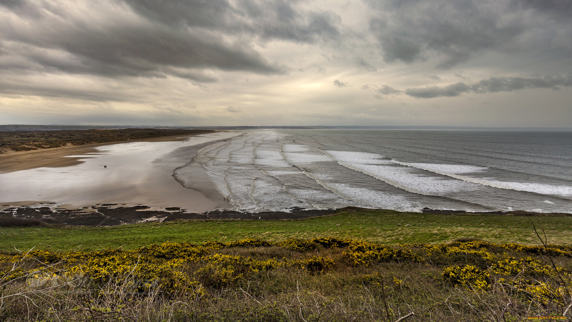 природа, побережье, простор