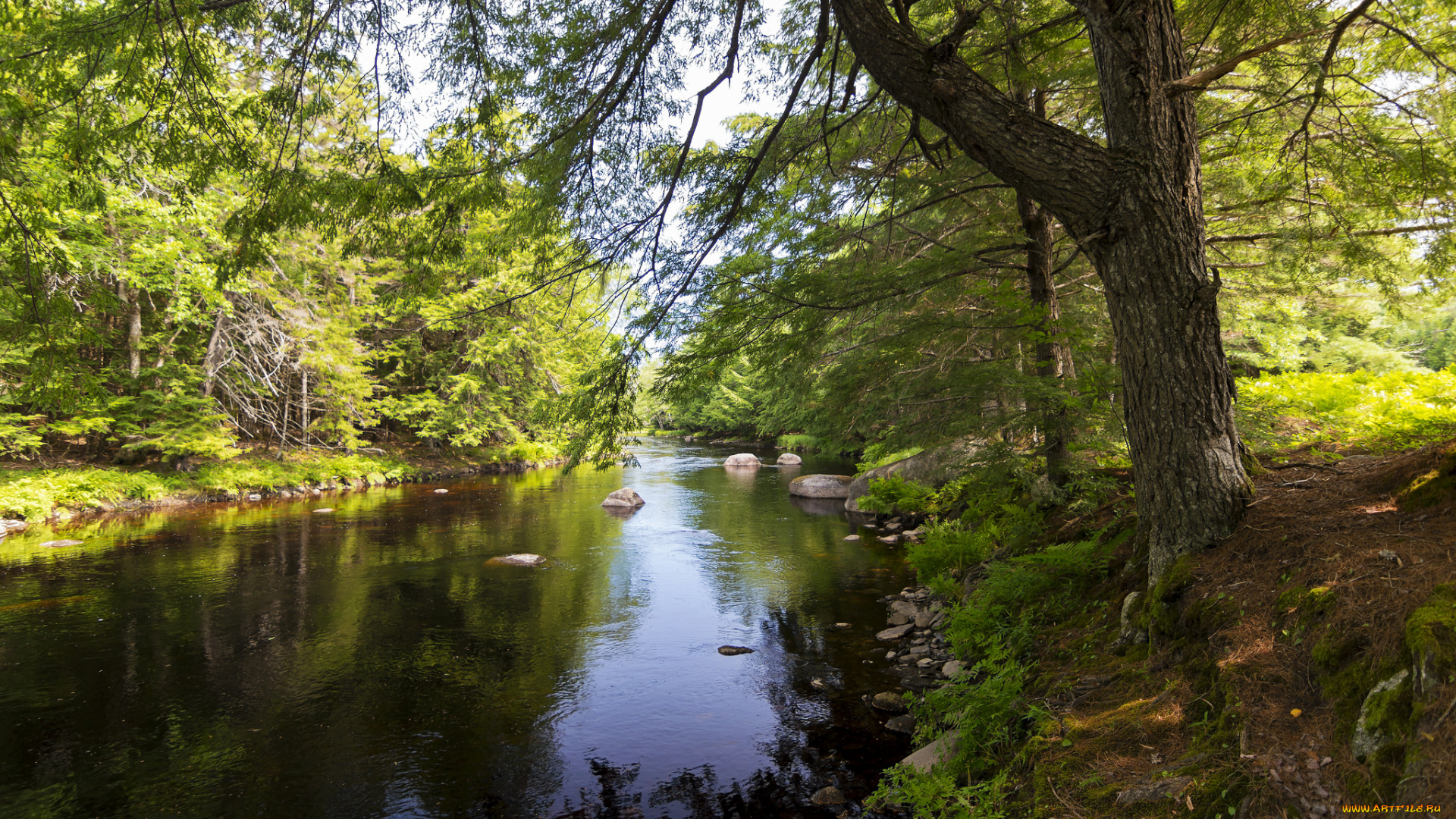 природа, реки, озера, простор