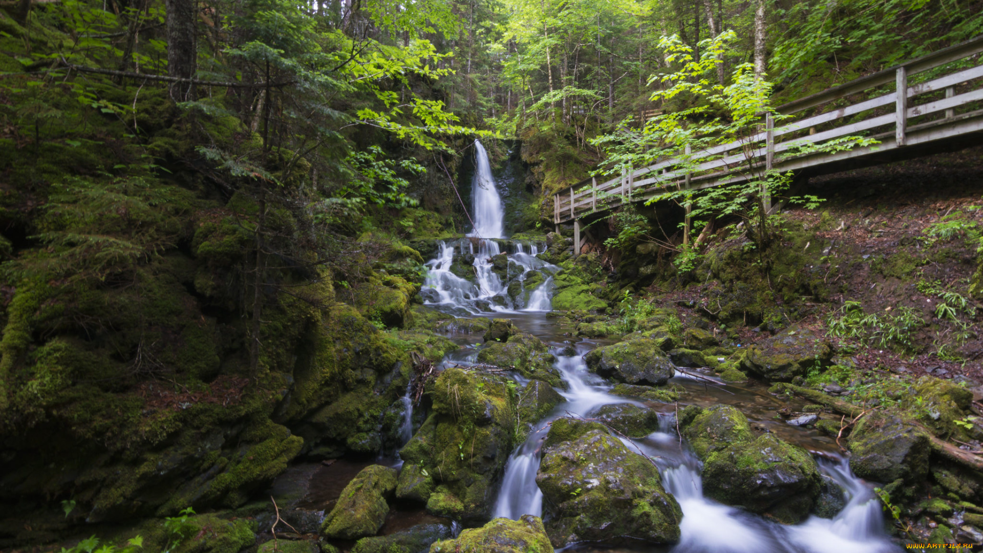 природа, реки, озера, простор