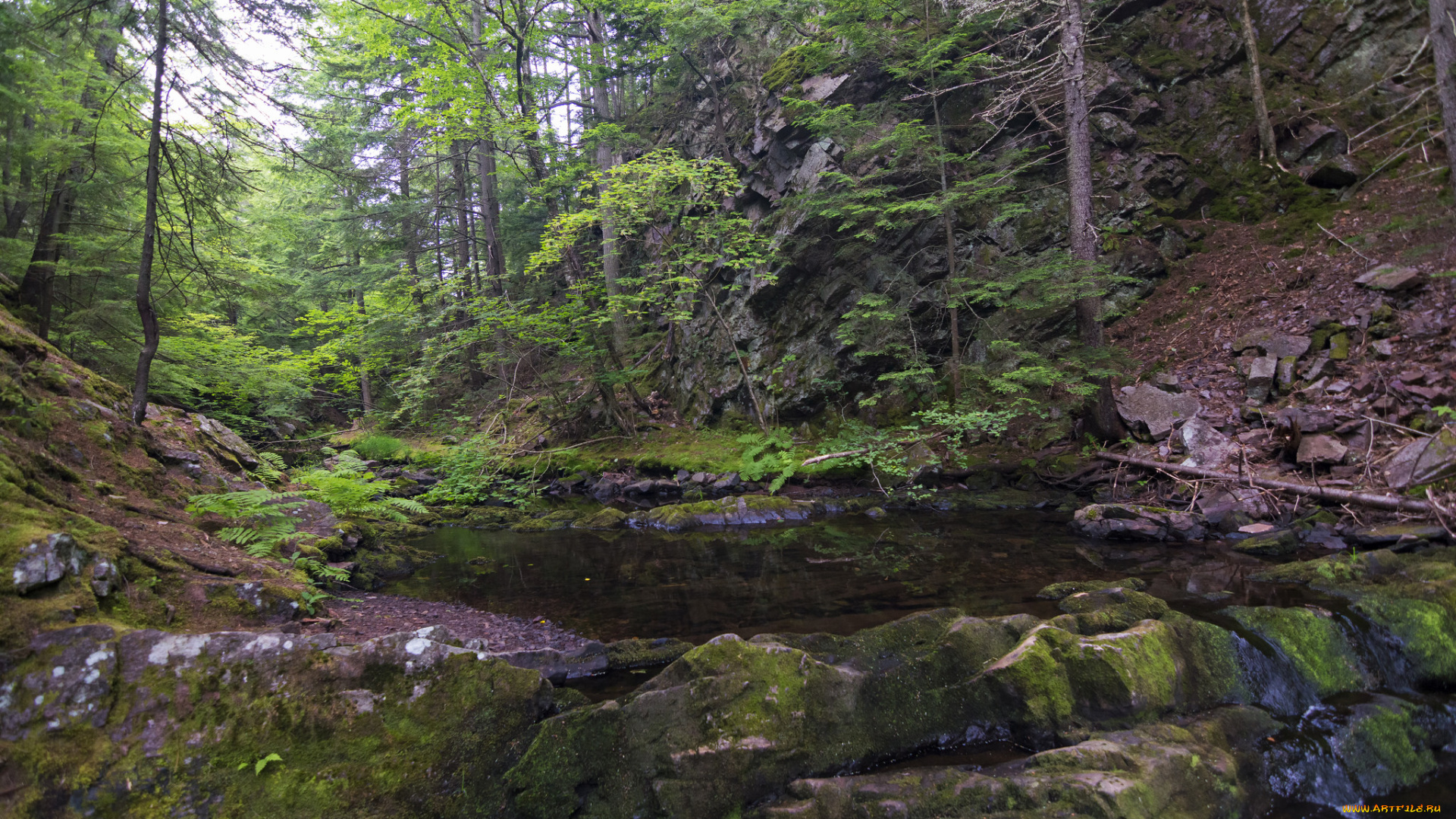 природа, реки, озера, простор