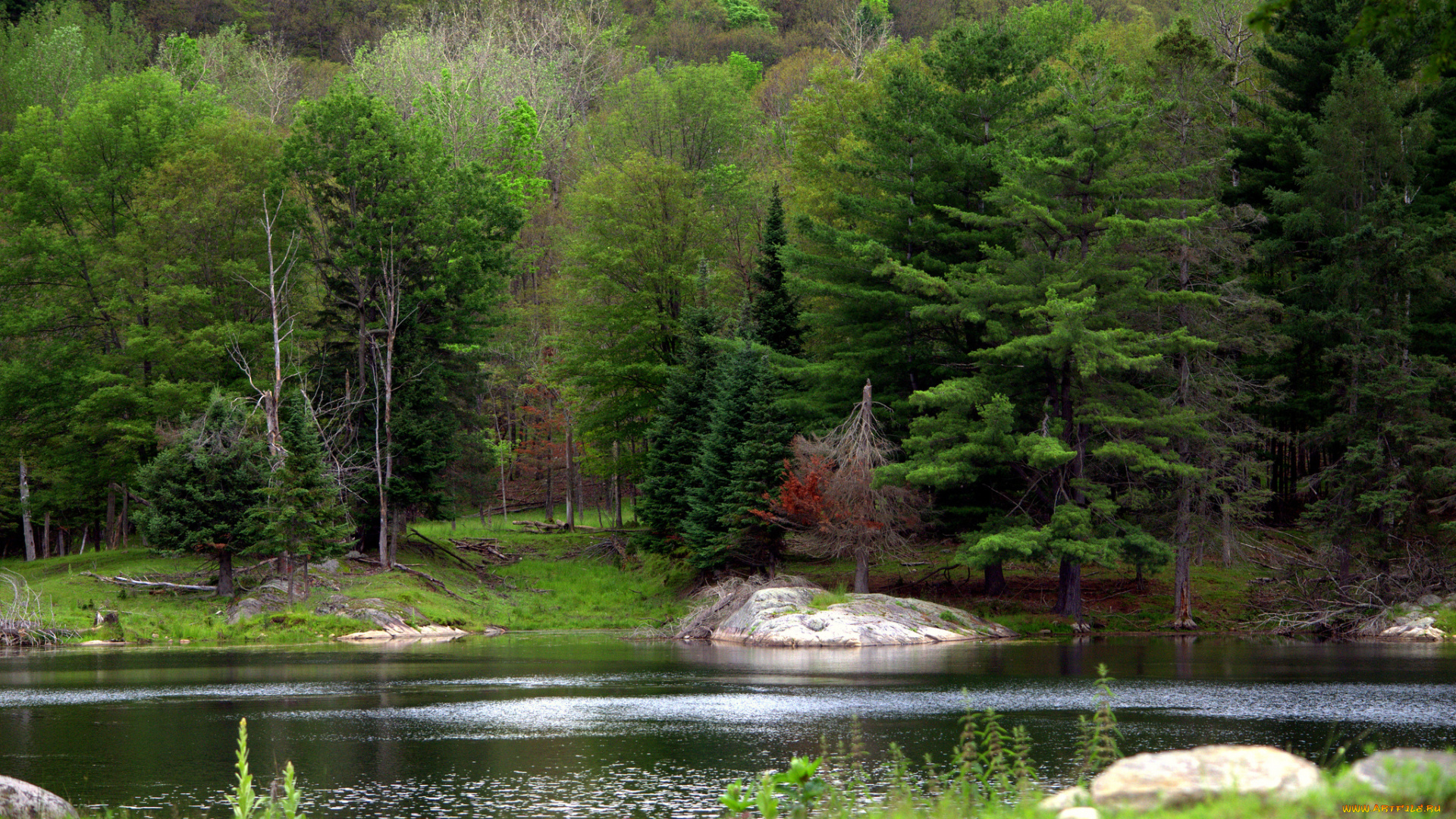 природа, реки, озера, простор