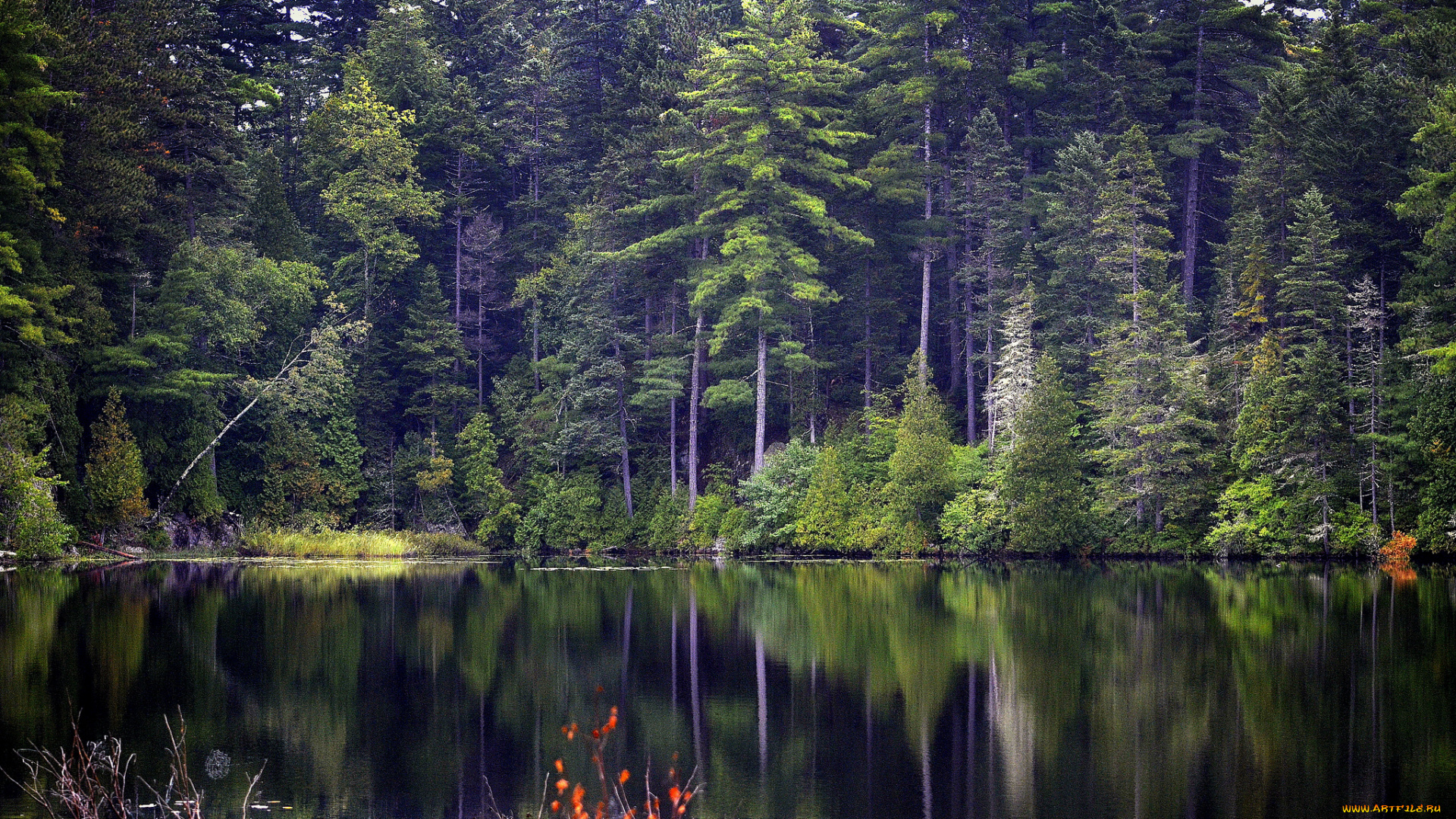 природа, реки, озера, простор