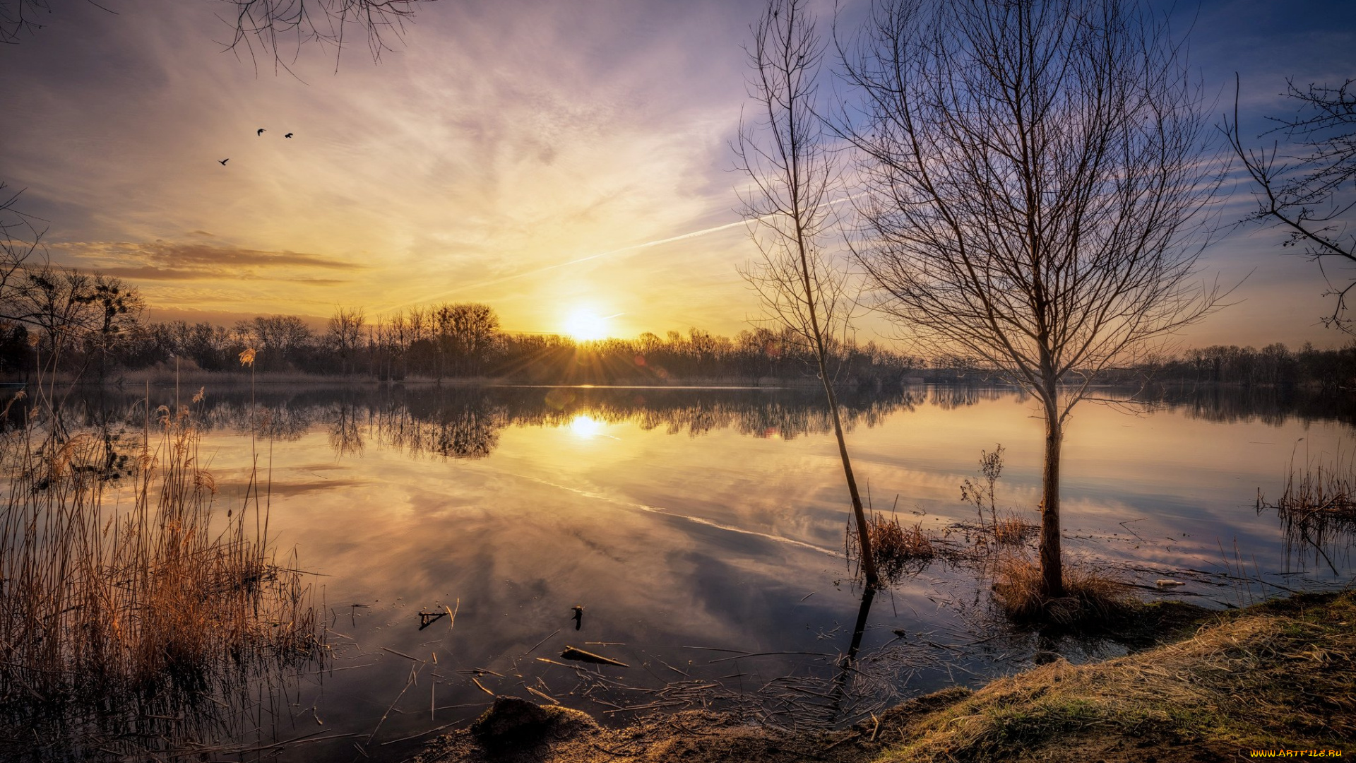 природа, восходы, закаты, простор